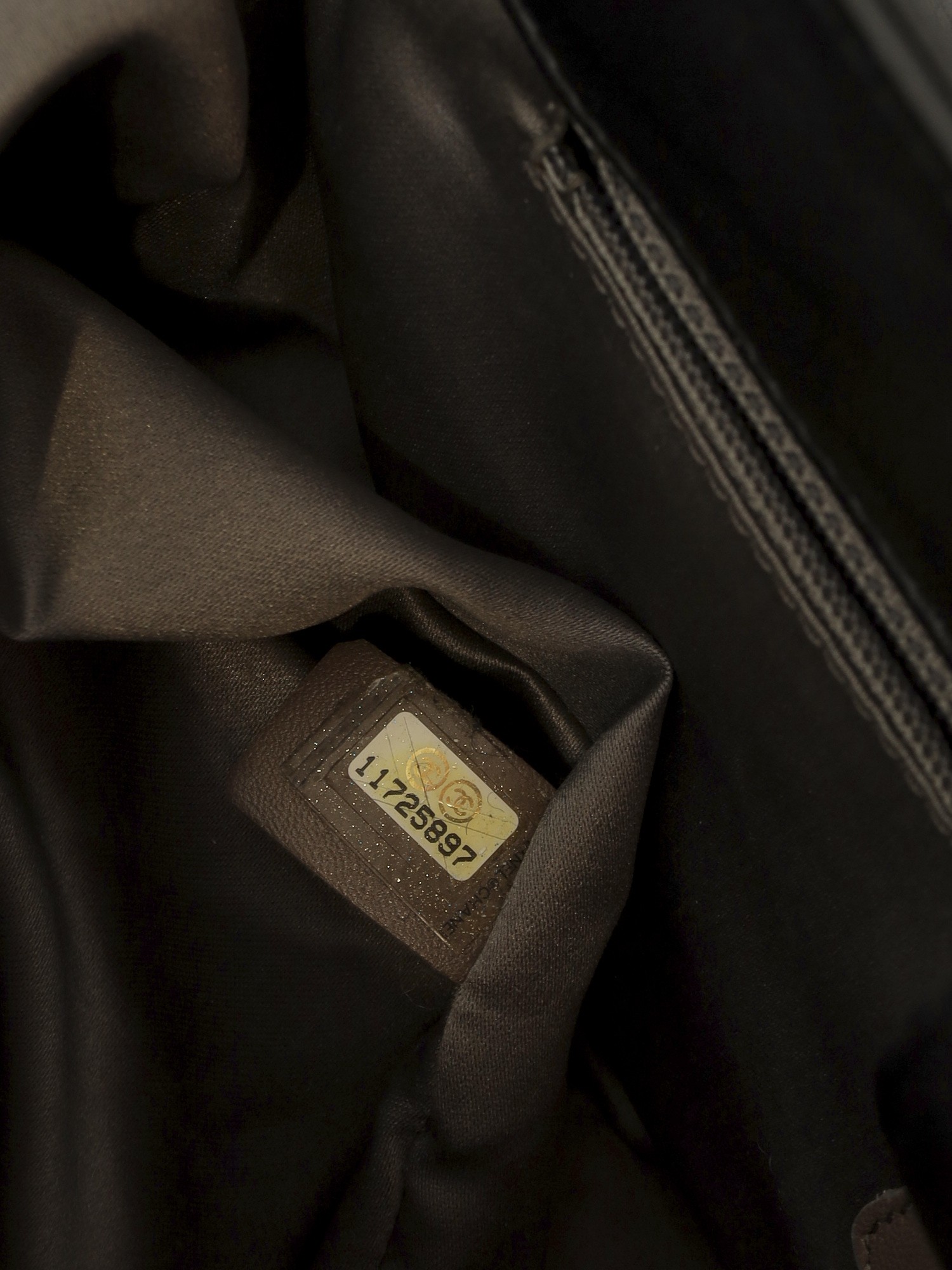 Chanel Leather Bag 11