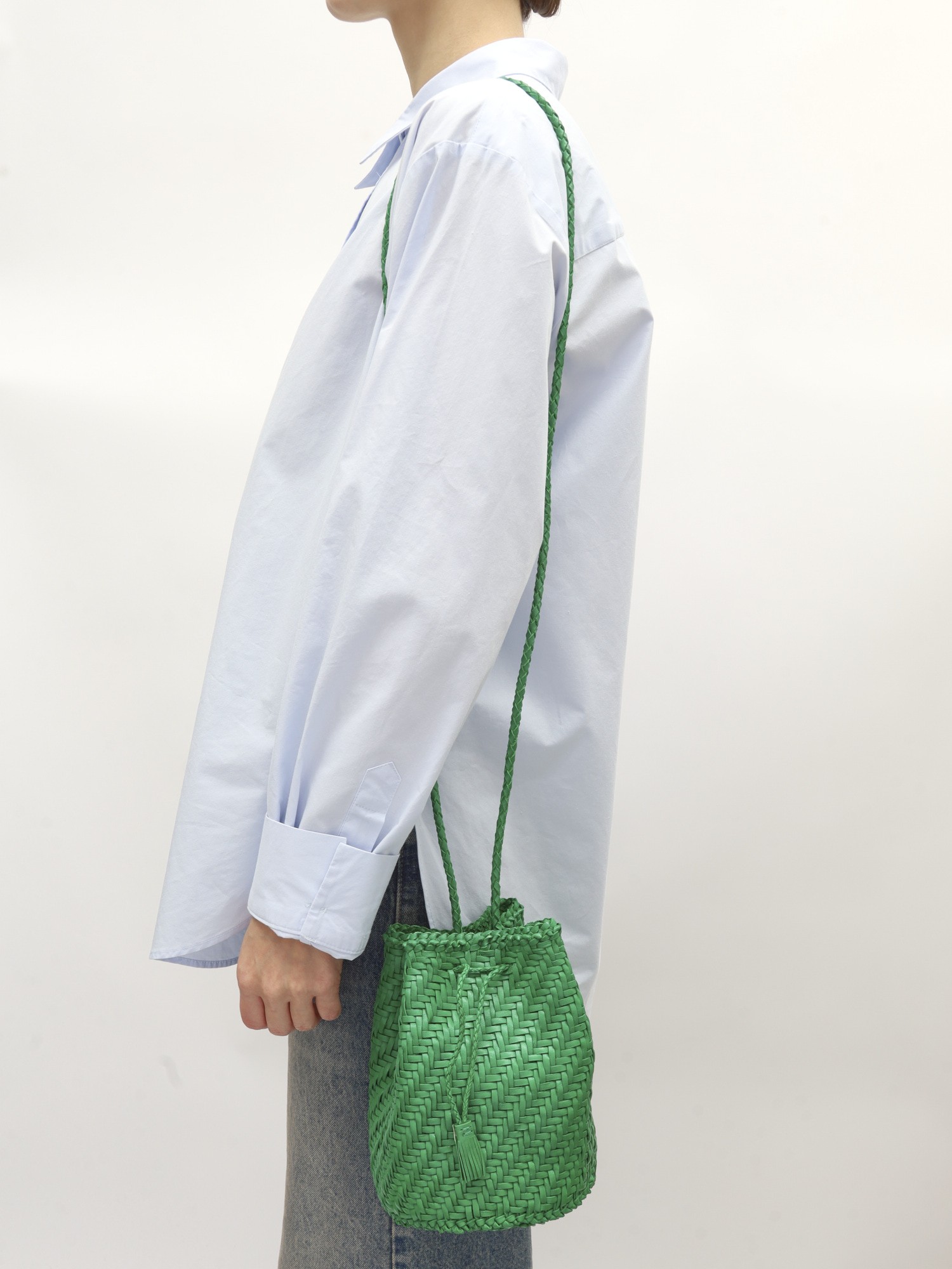 Dragon Diffusion Pompom 1