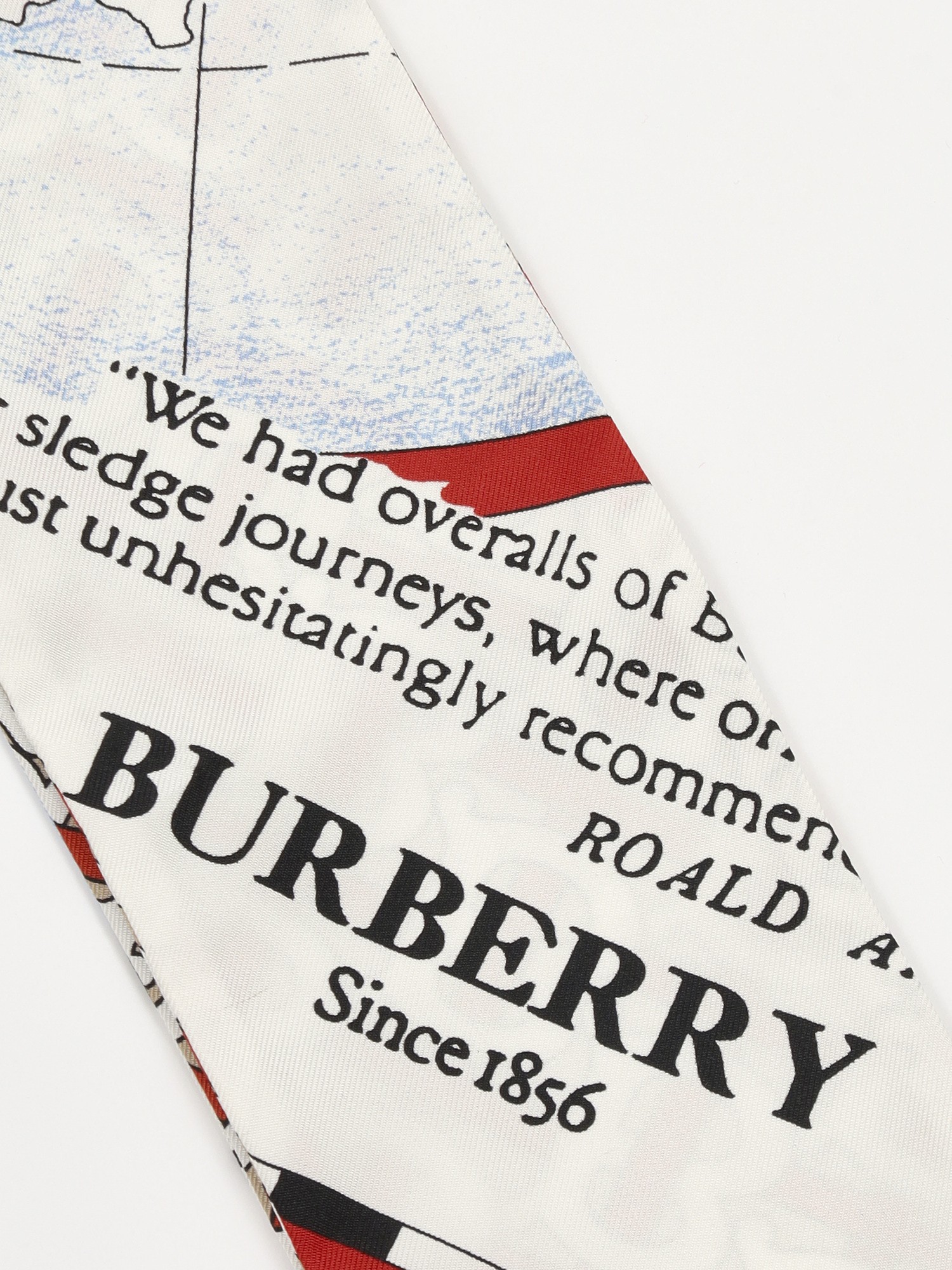 Burberry Twilly  3