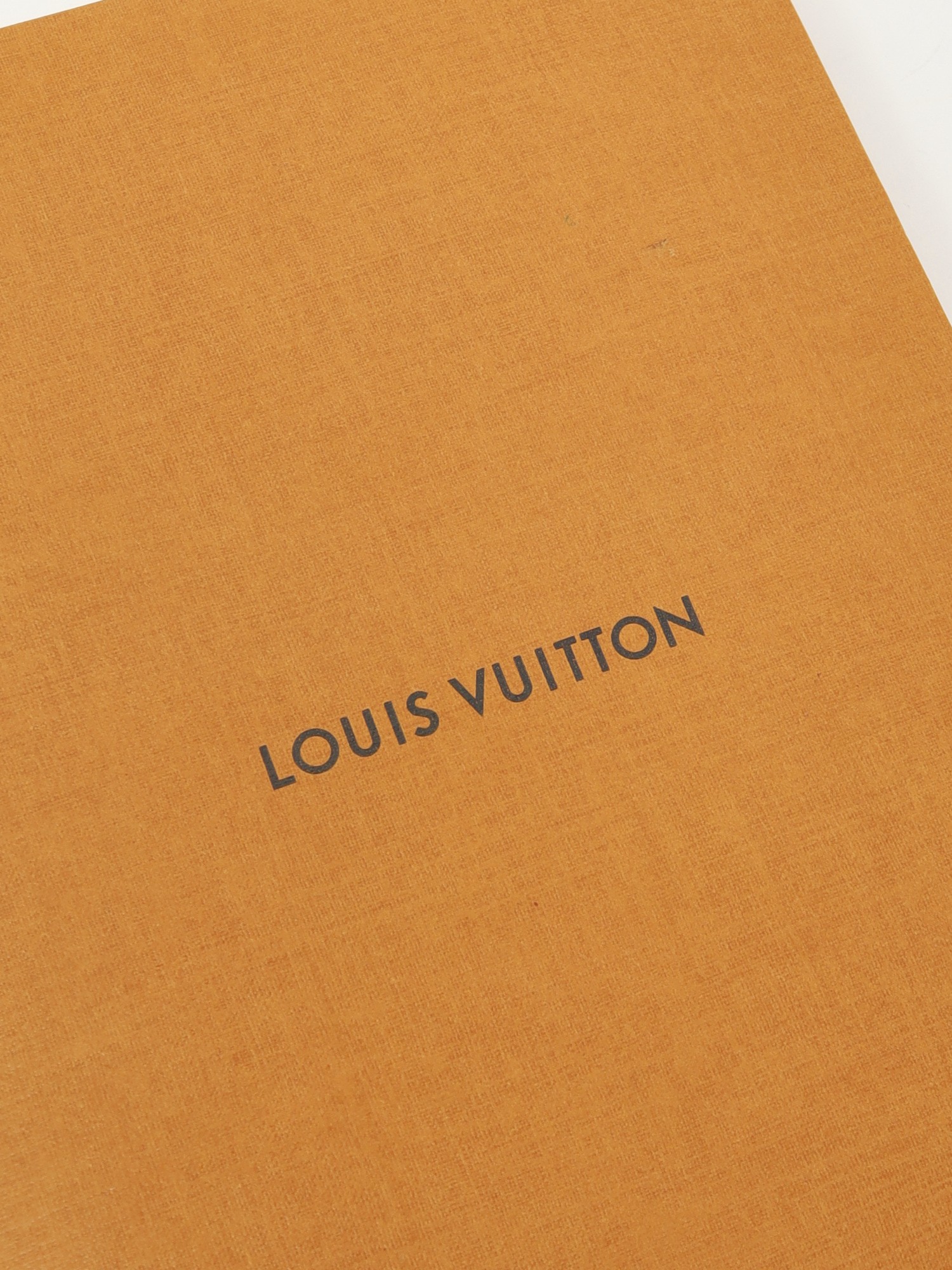 Louis Vuitton Notebook 2