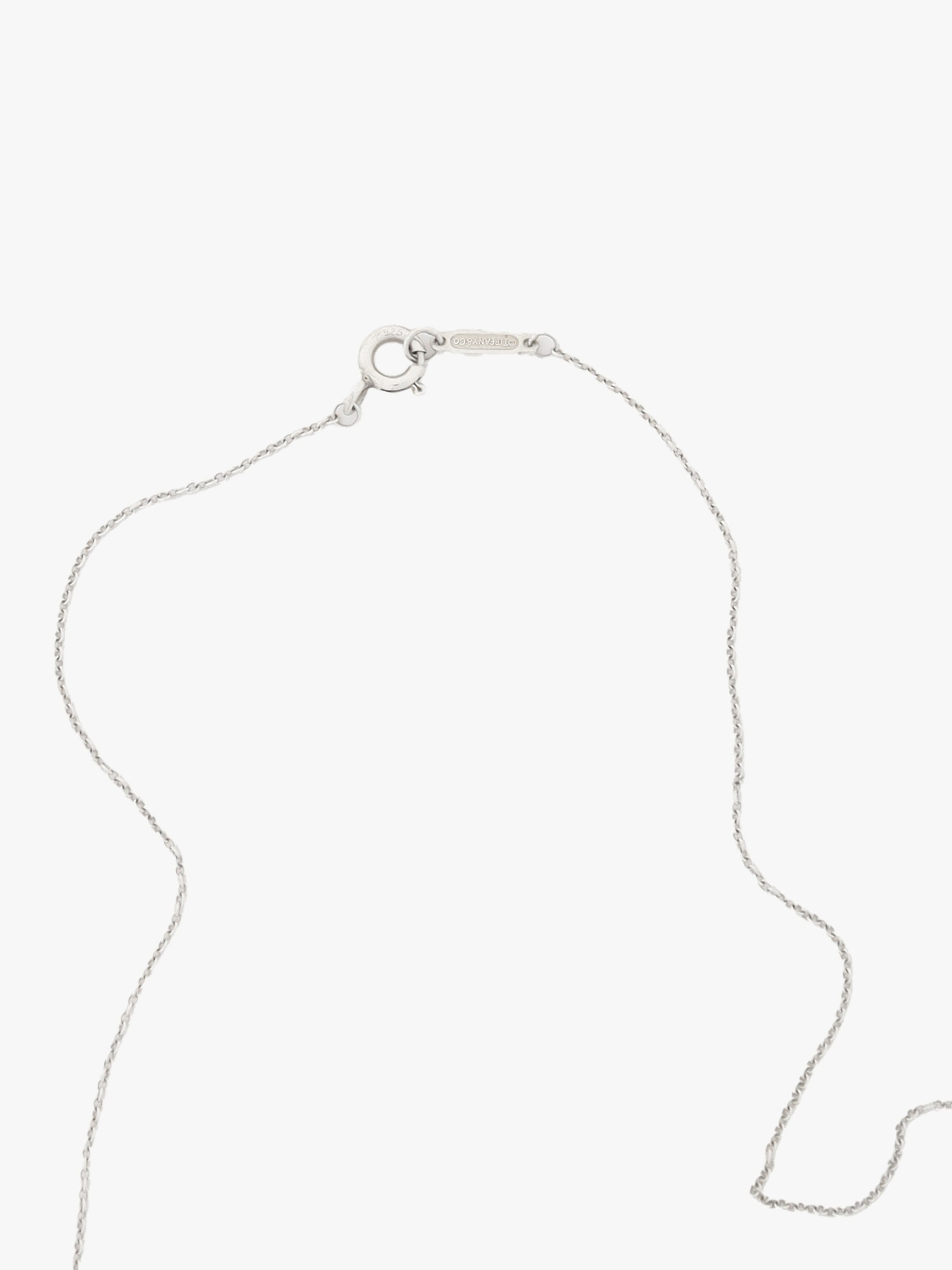 Tiffany & Co. Horseshoe  3