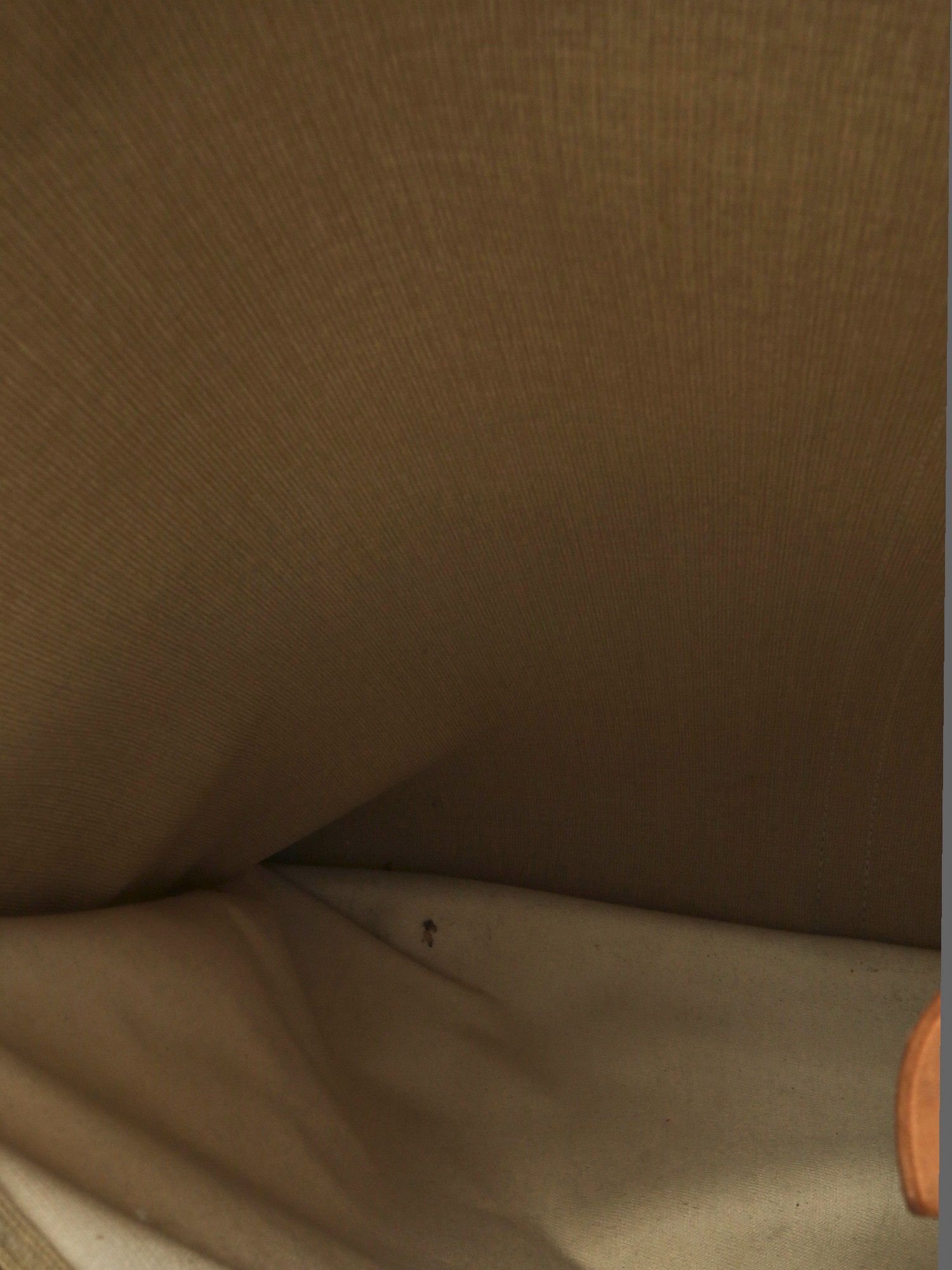 Louis Vuitton Sirius 22