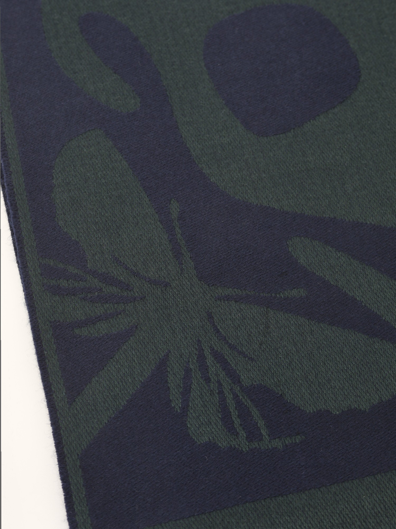 Alexander McQueen Scarf 4