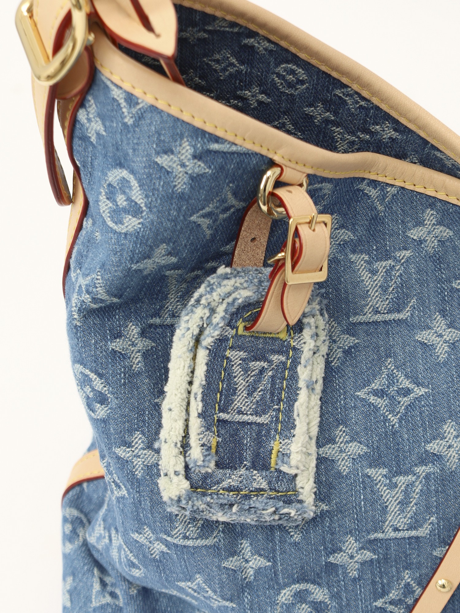 Louis Vuitton CaryAll 5