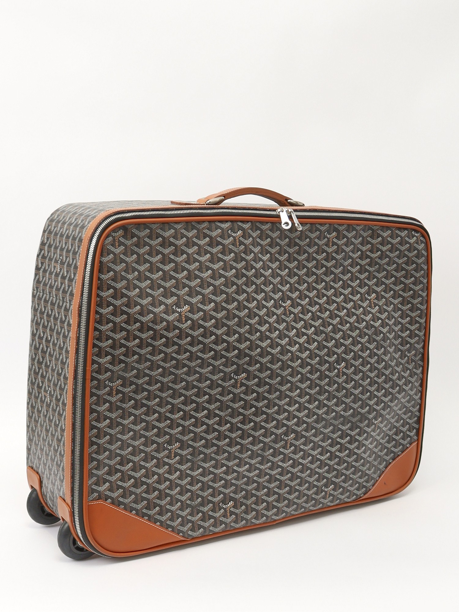 Goyard Canvas Bag 3