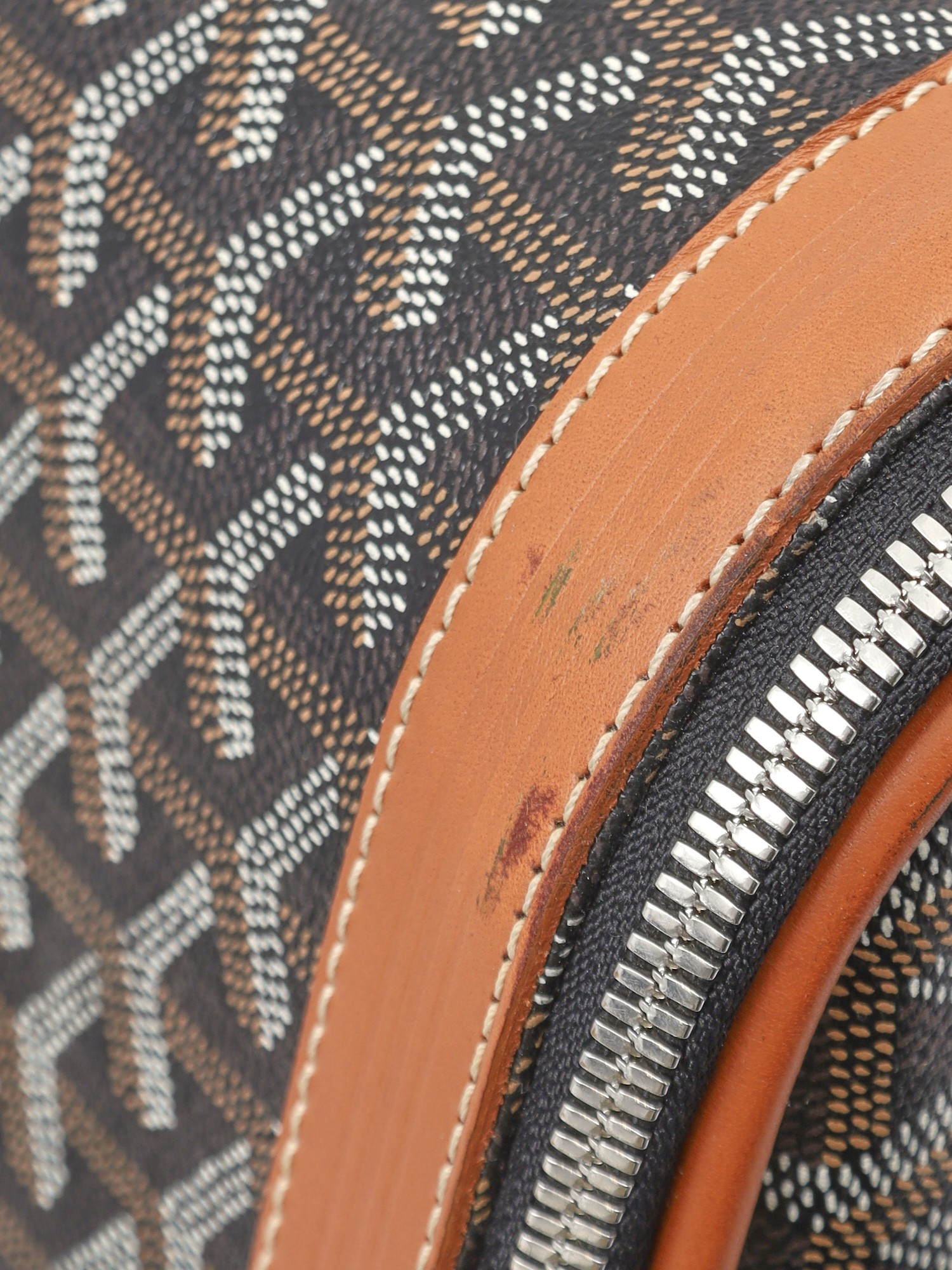 Goyard Canvas Bag 8