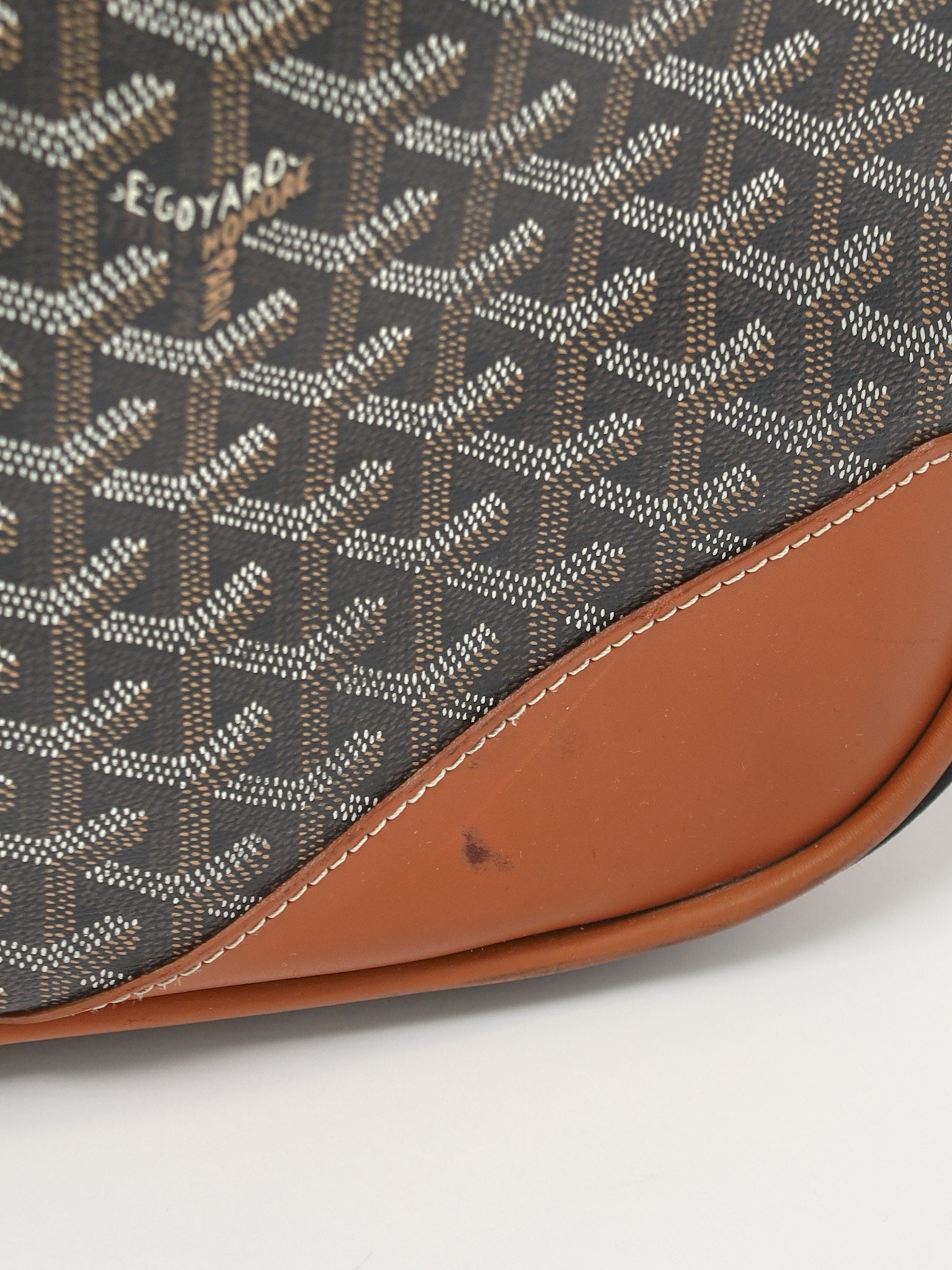 Goyard Canvas Bag 6