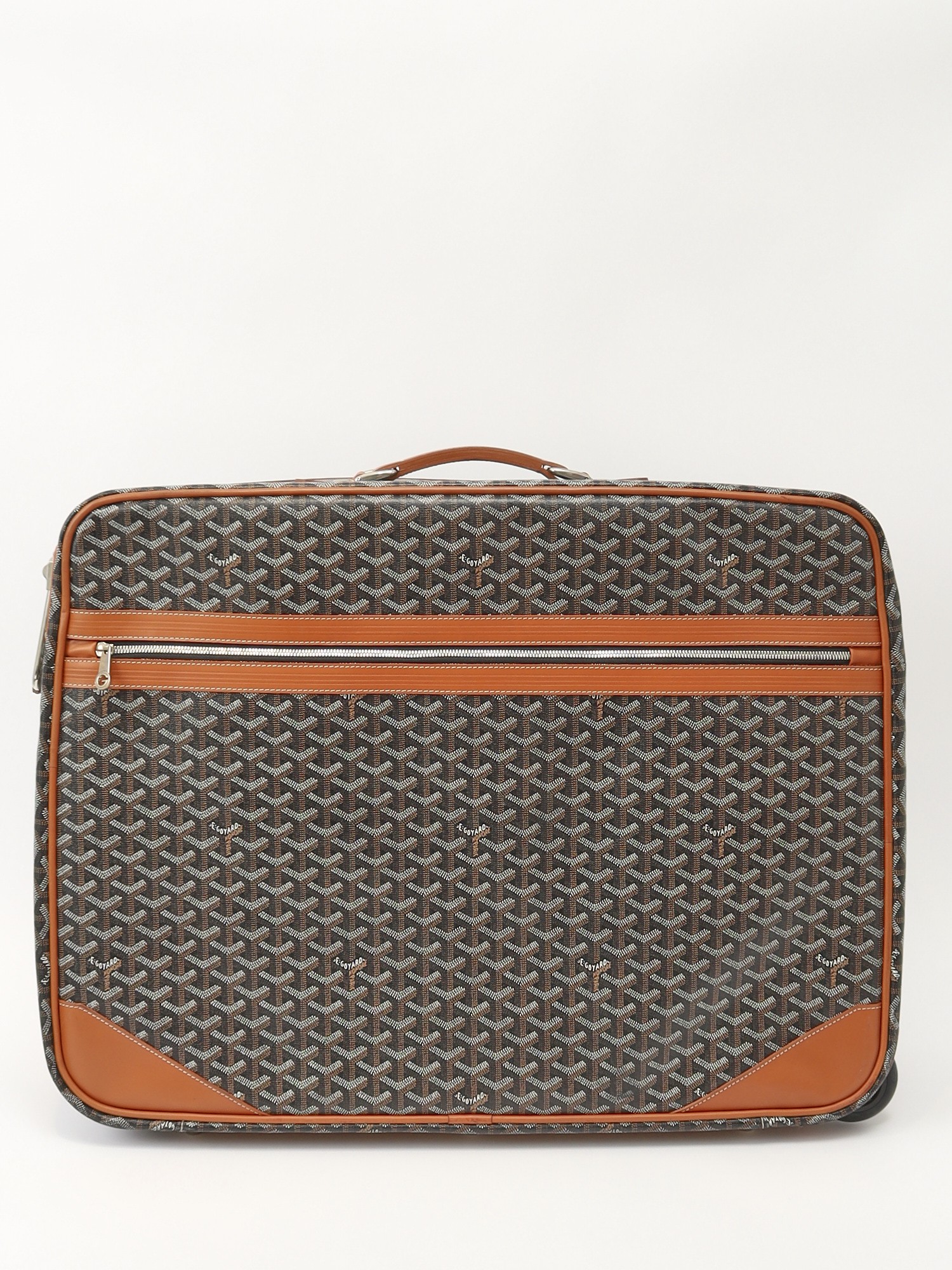 Goyard Canvas Bag 0