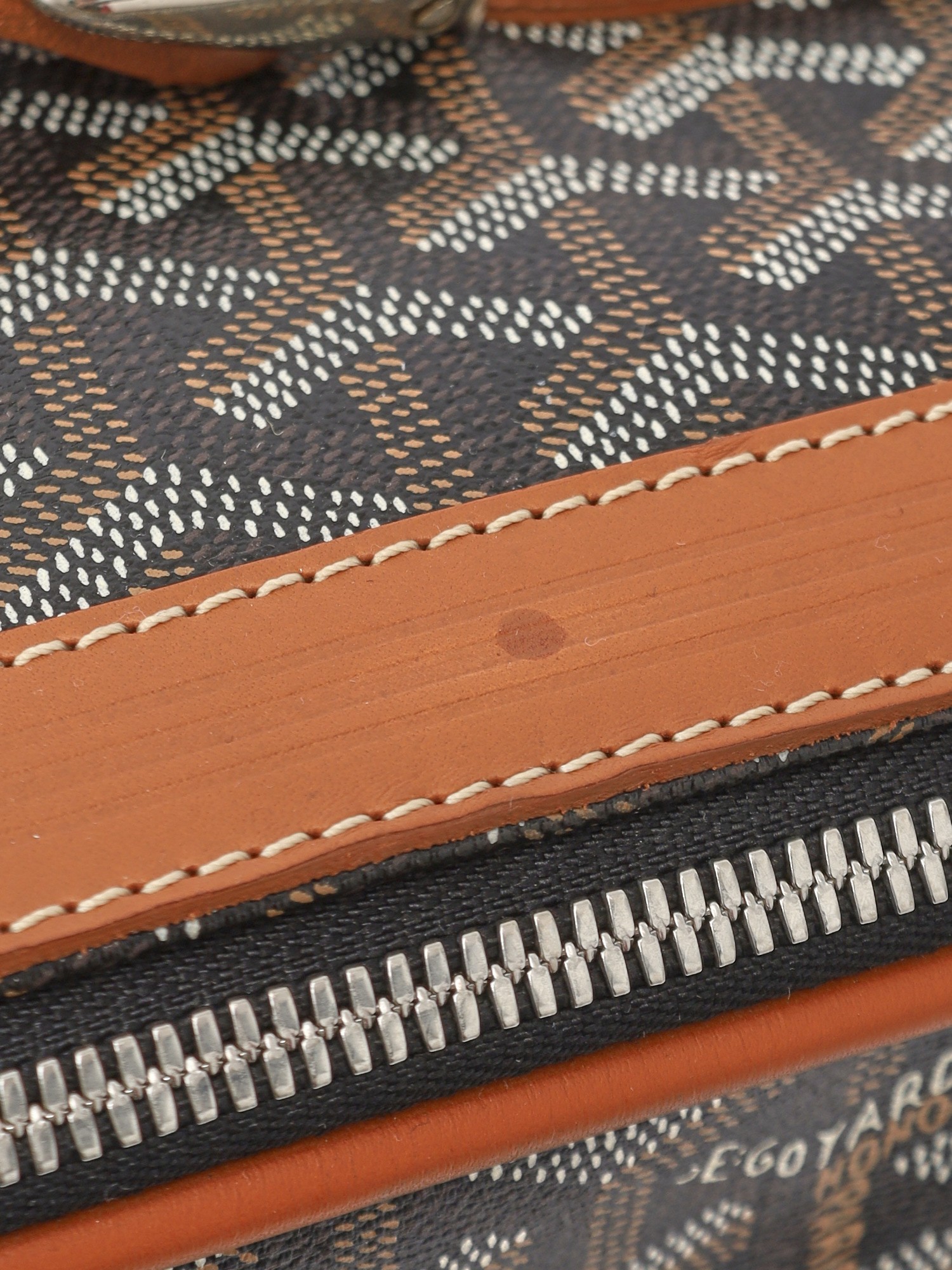 Goyard Canvas Bag 7