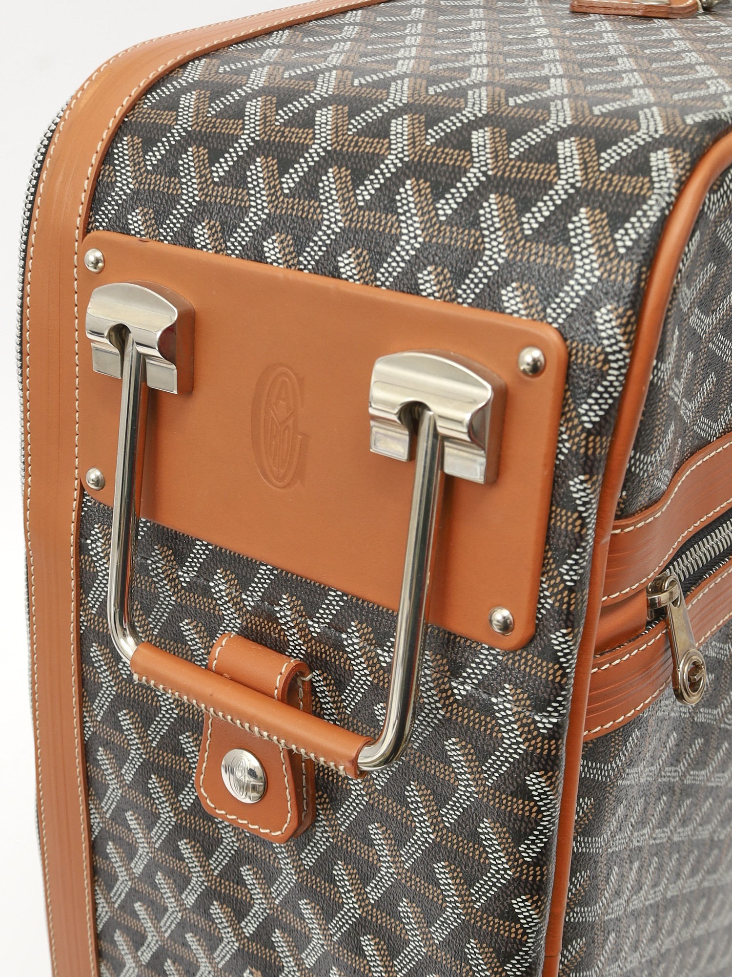 Goyard Canvas Bag 9