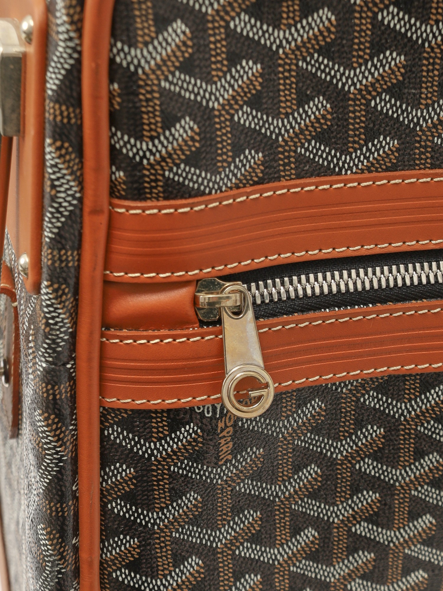 Goyard Canvas Bag 10