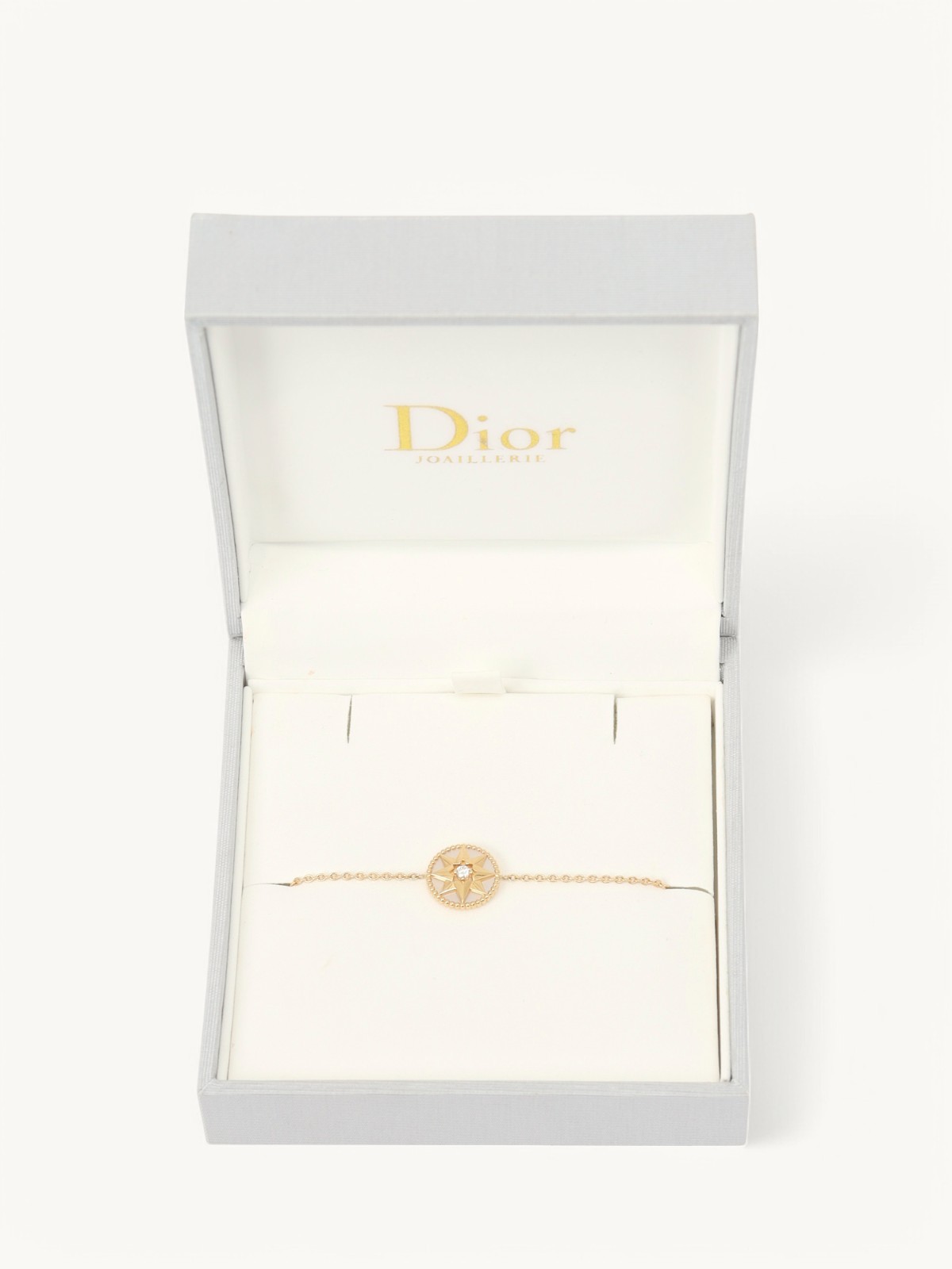 Dior Rose des Vents 4