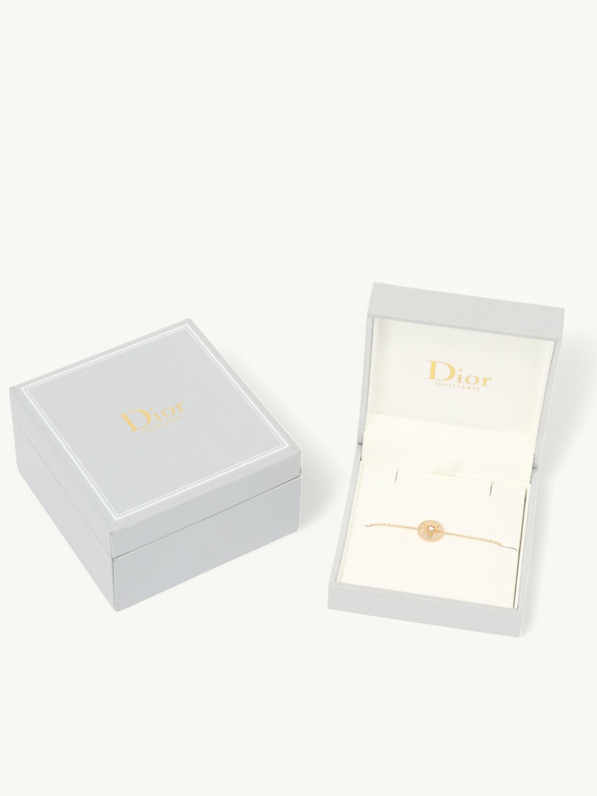 Dior Rose des Vents 5