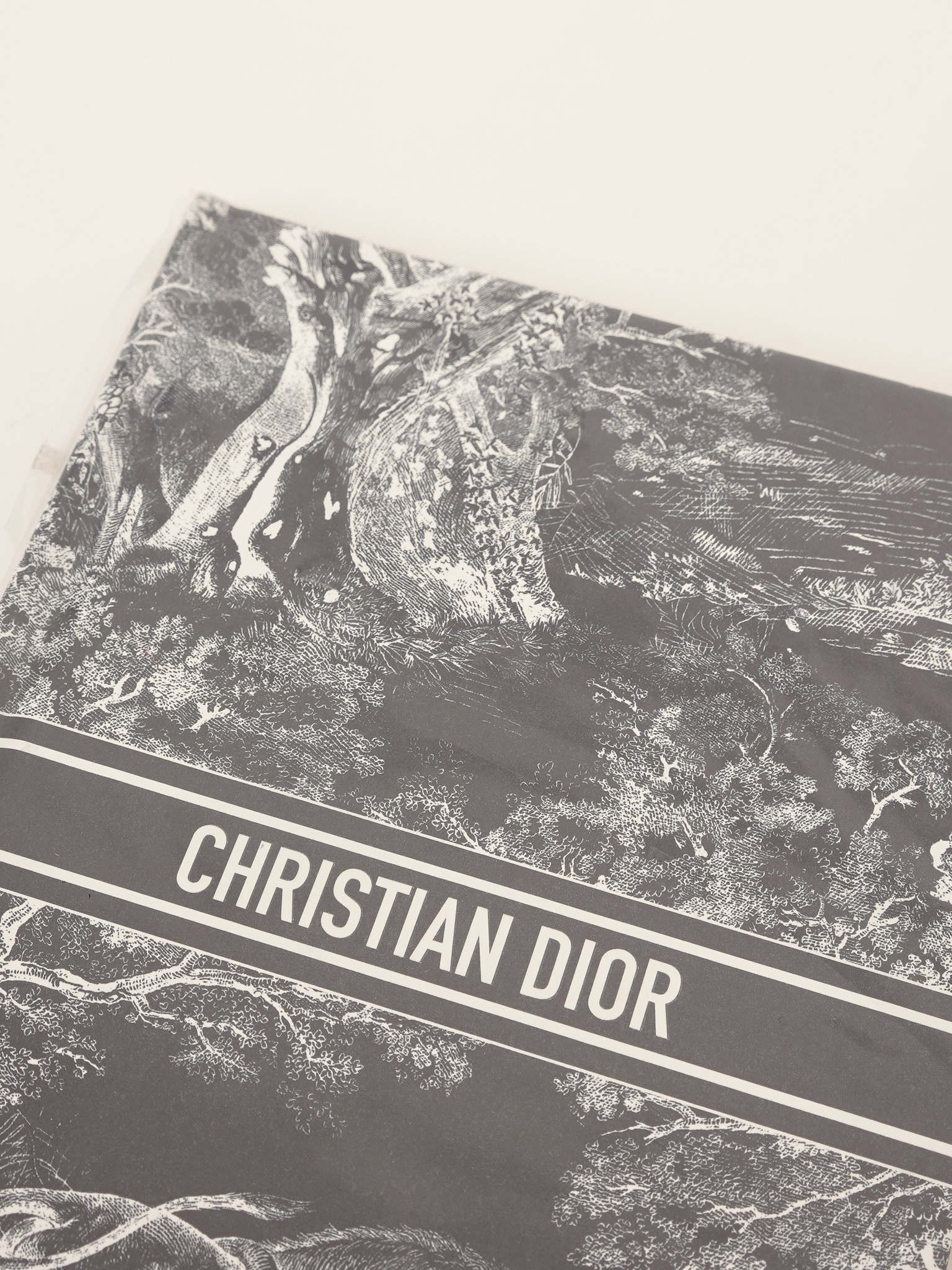 Dior Notebook  4