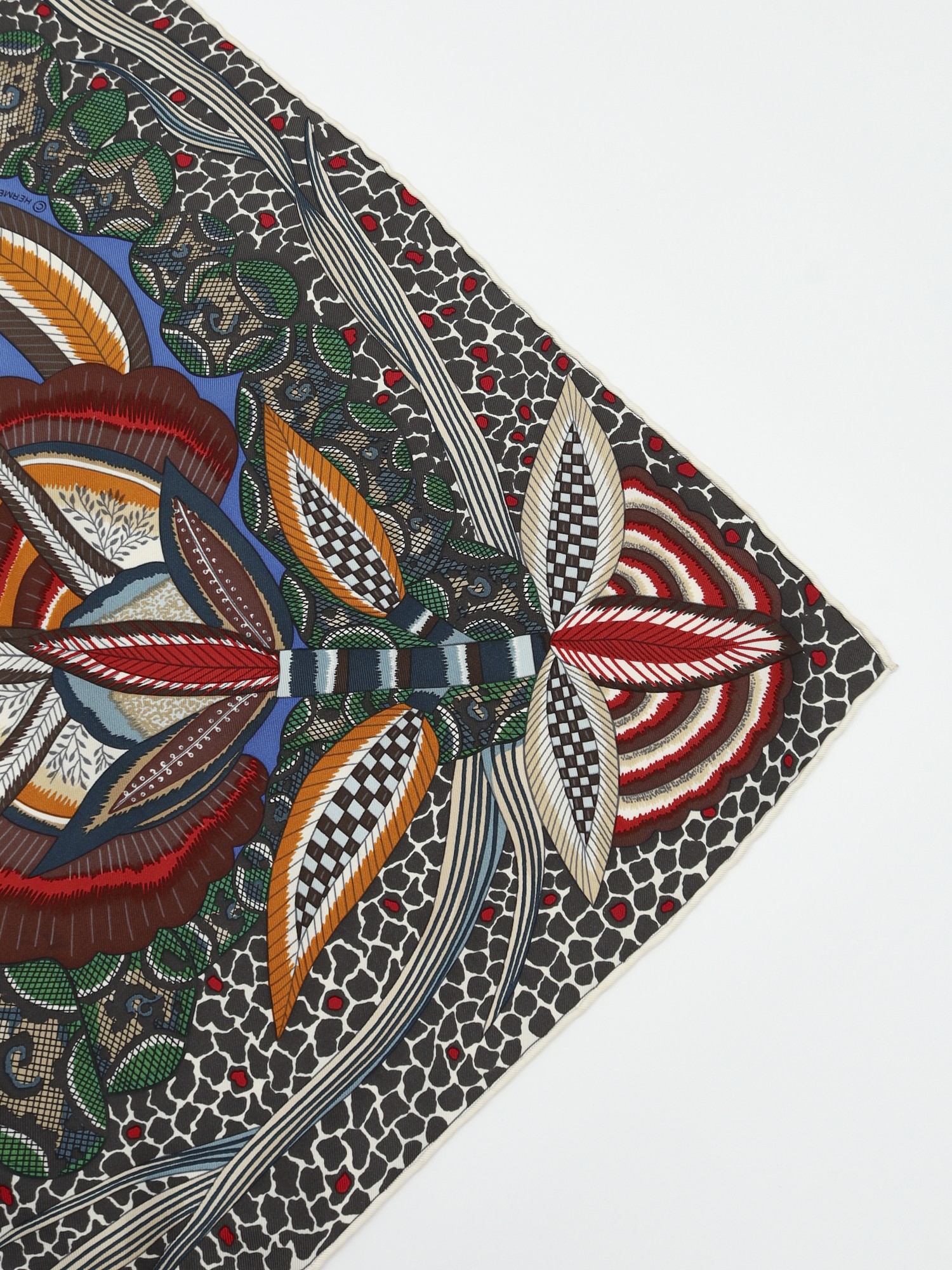 Hermes Silk Scarf 4