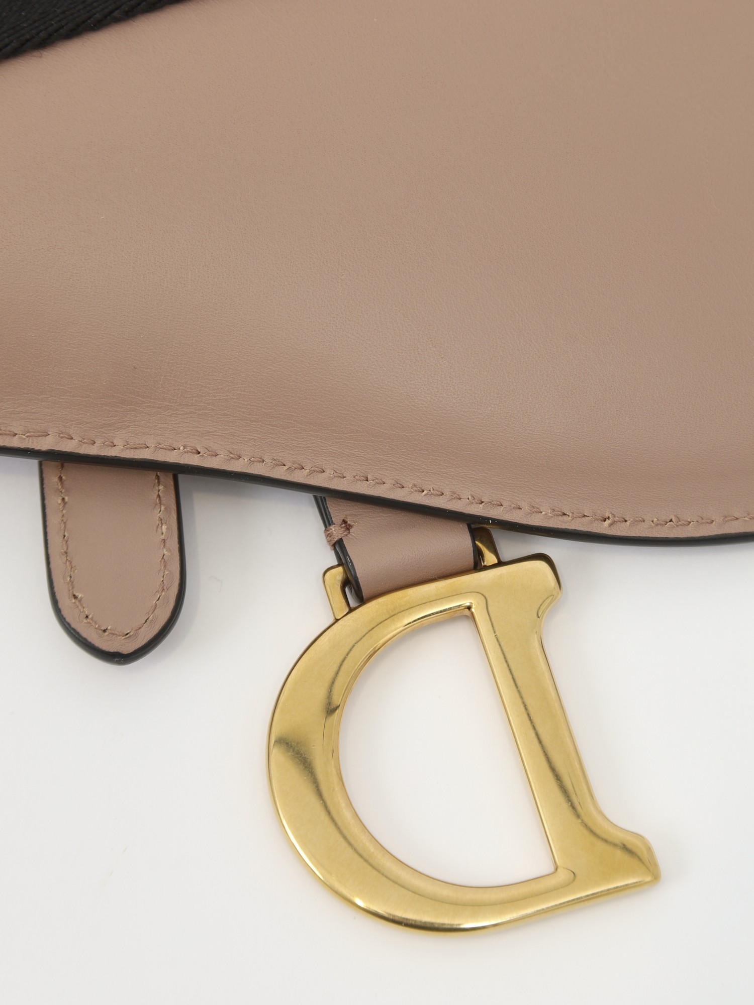 Dior Saddle 12