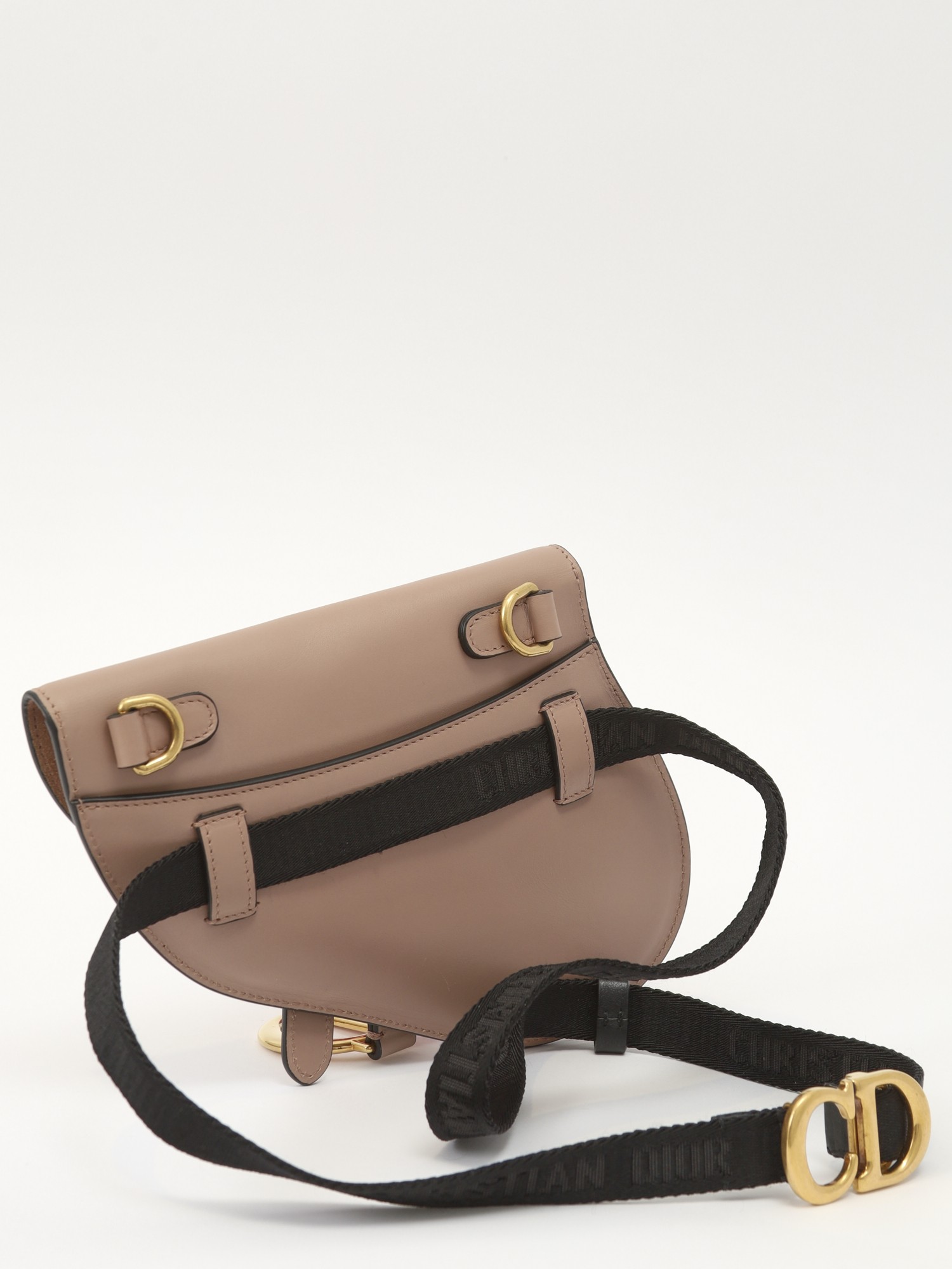 Dior Saddle 3