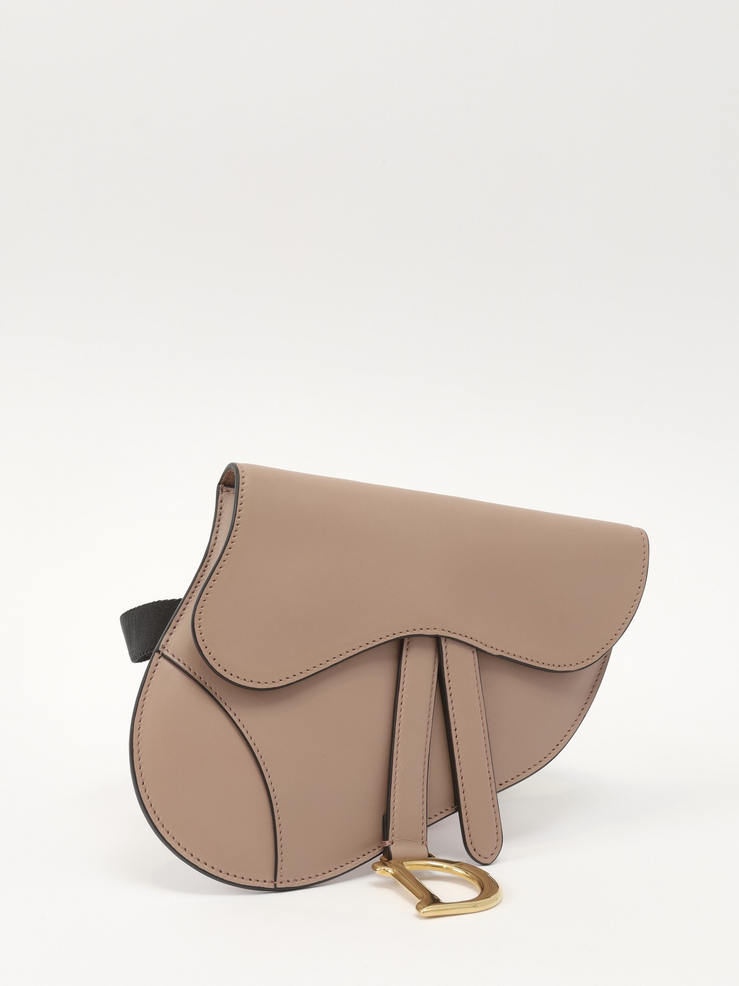 Dior Saddle 2