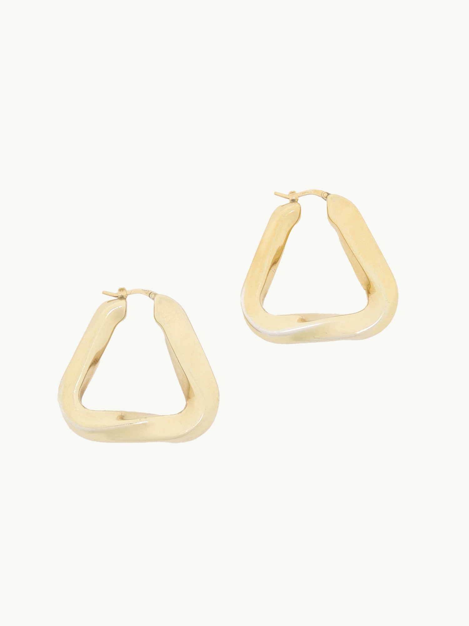 Bottega Veneta Earrings  0