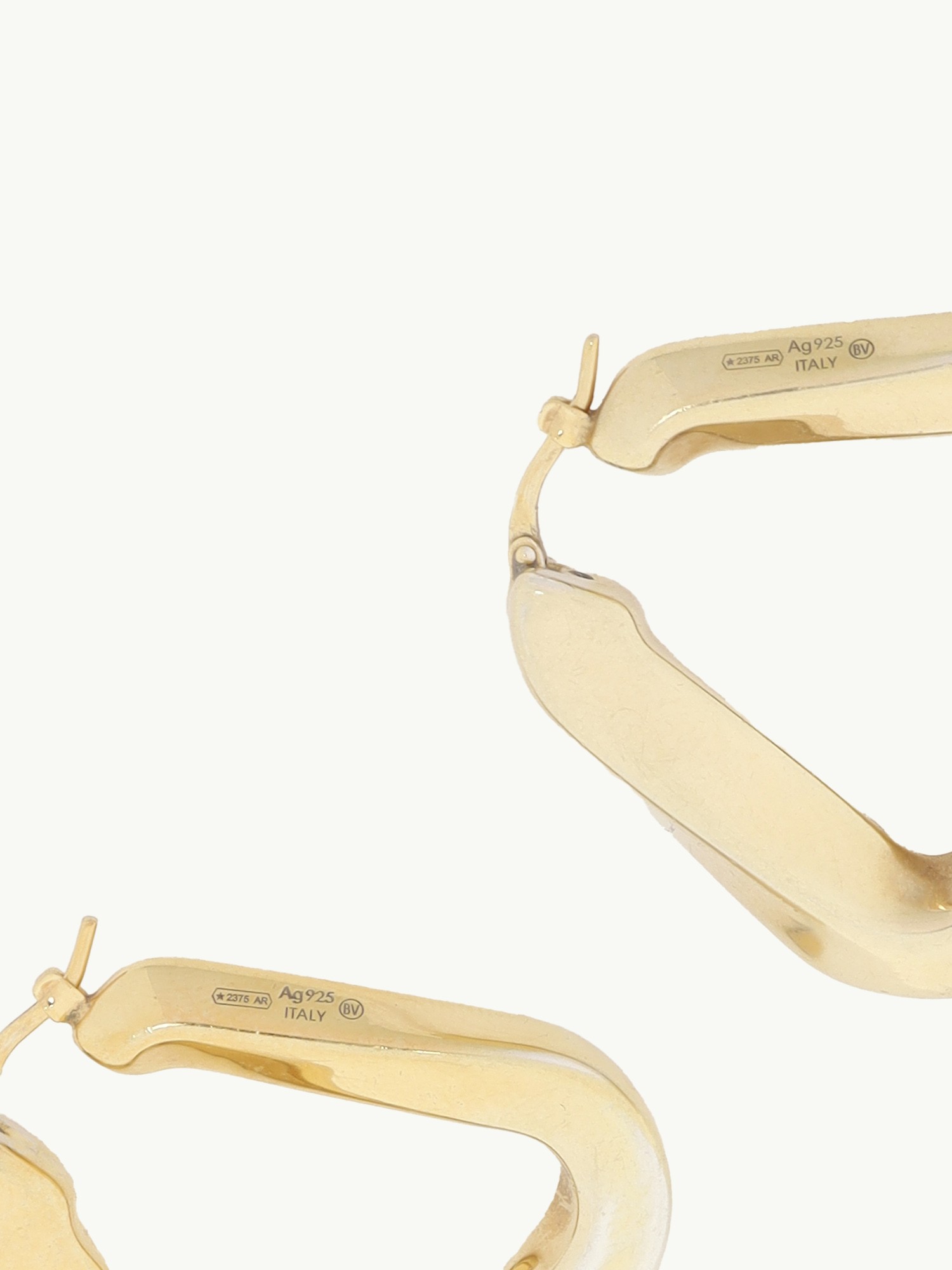 Bottega Veneta Earrings  3