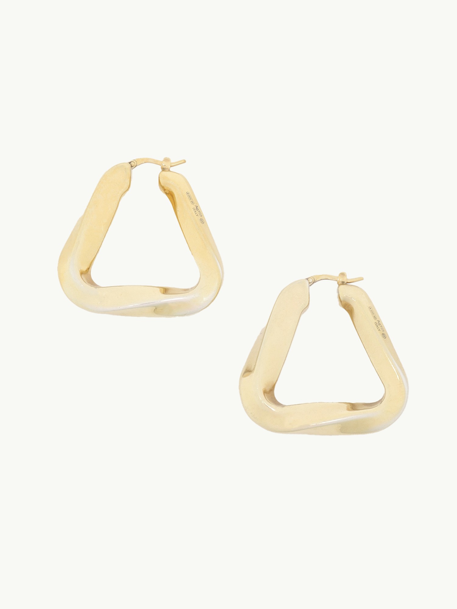 Bottega Veneta Earrings  2