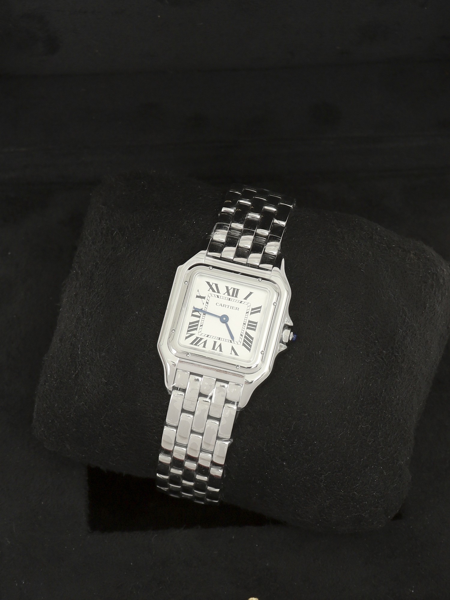 Cartier Panthère de Cartier Medium 9