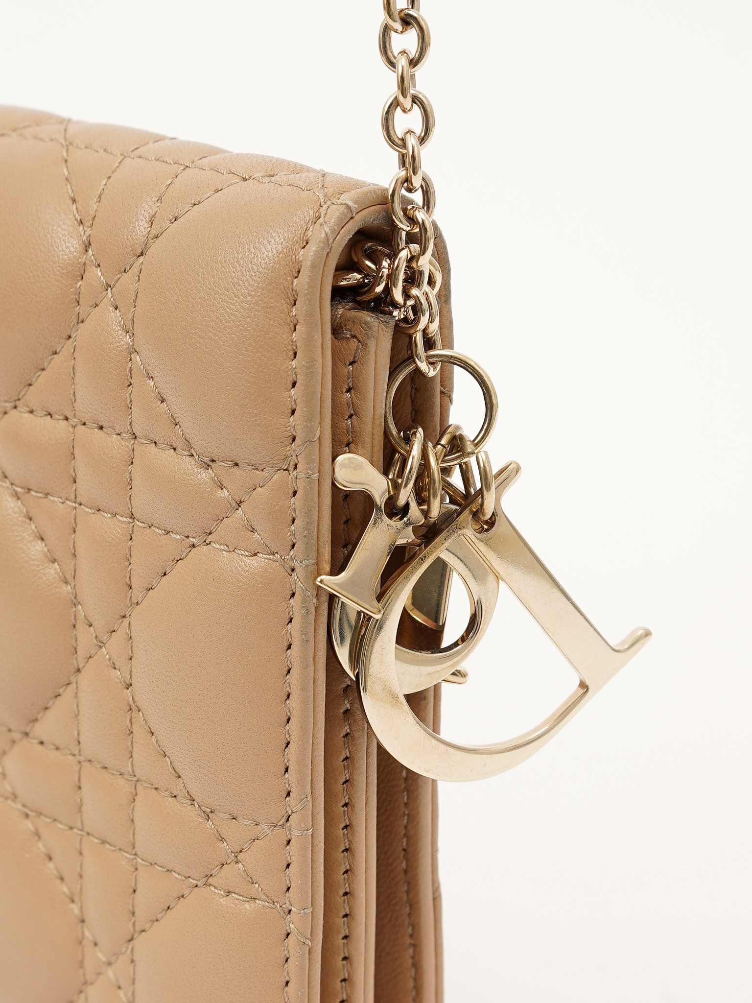 Dior Leather Bag 5