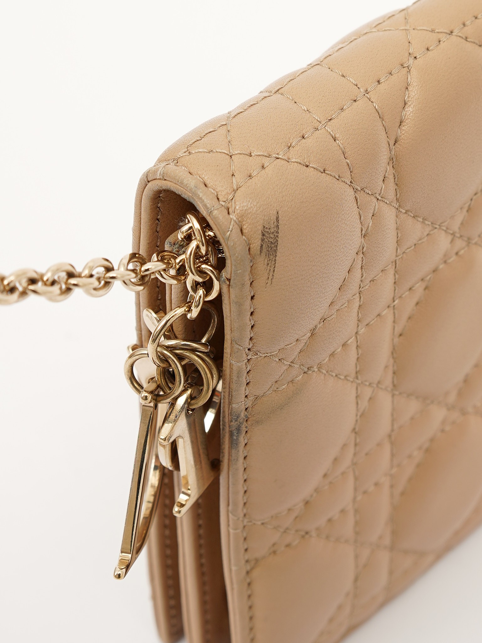Dior Leather Bag 6