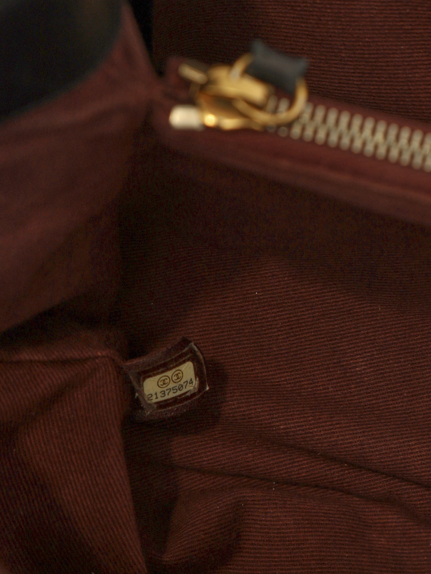 Chanel Leather Bag  9