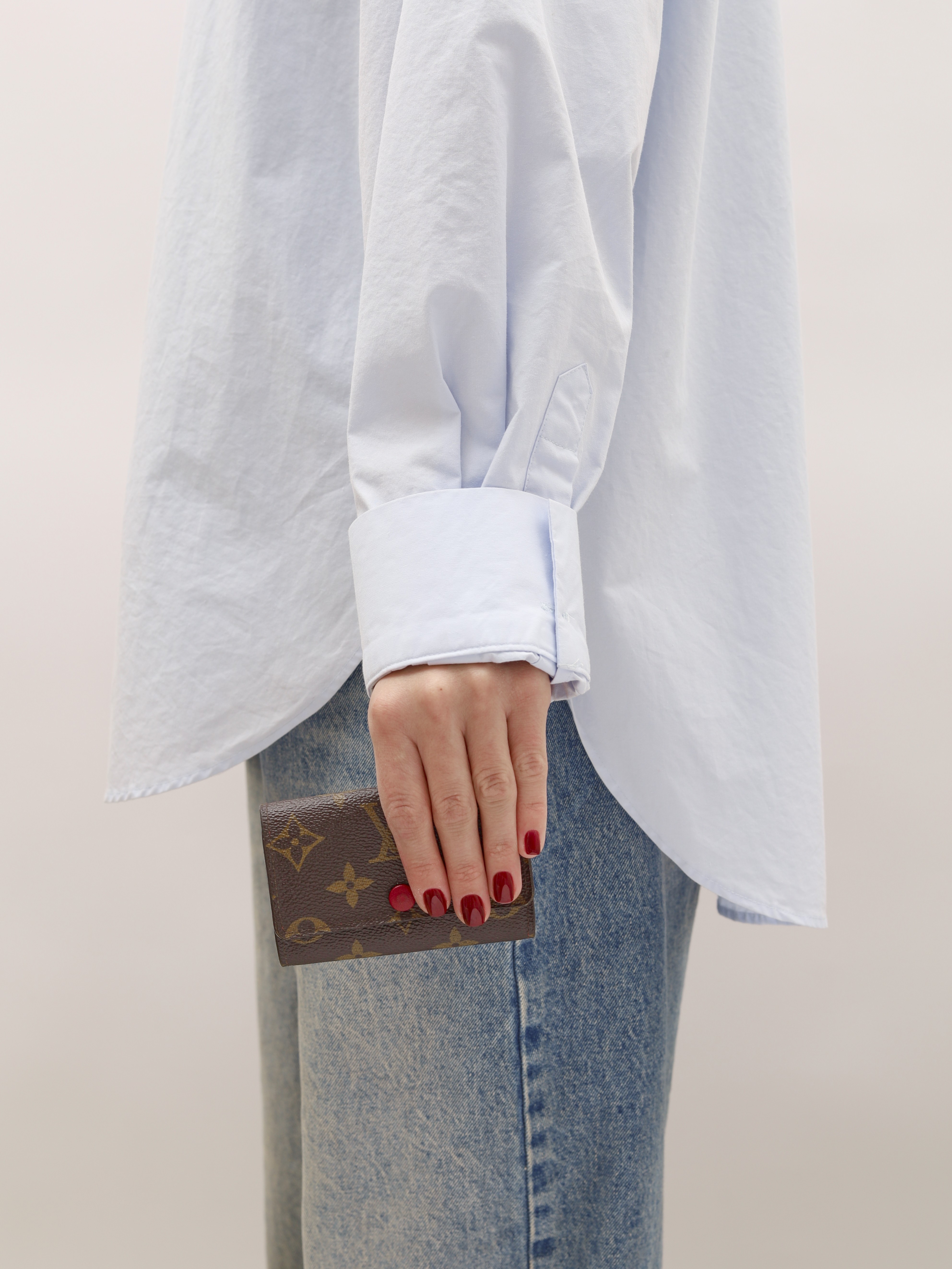 Louis Vuitton Case 1