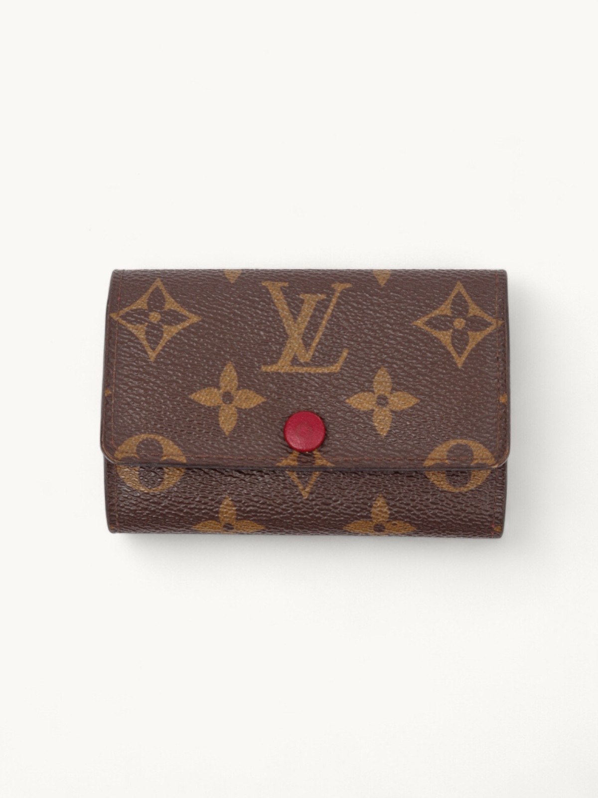 Louis Vuitton Case 0