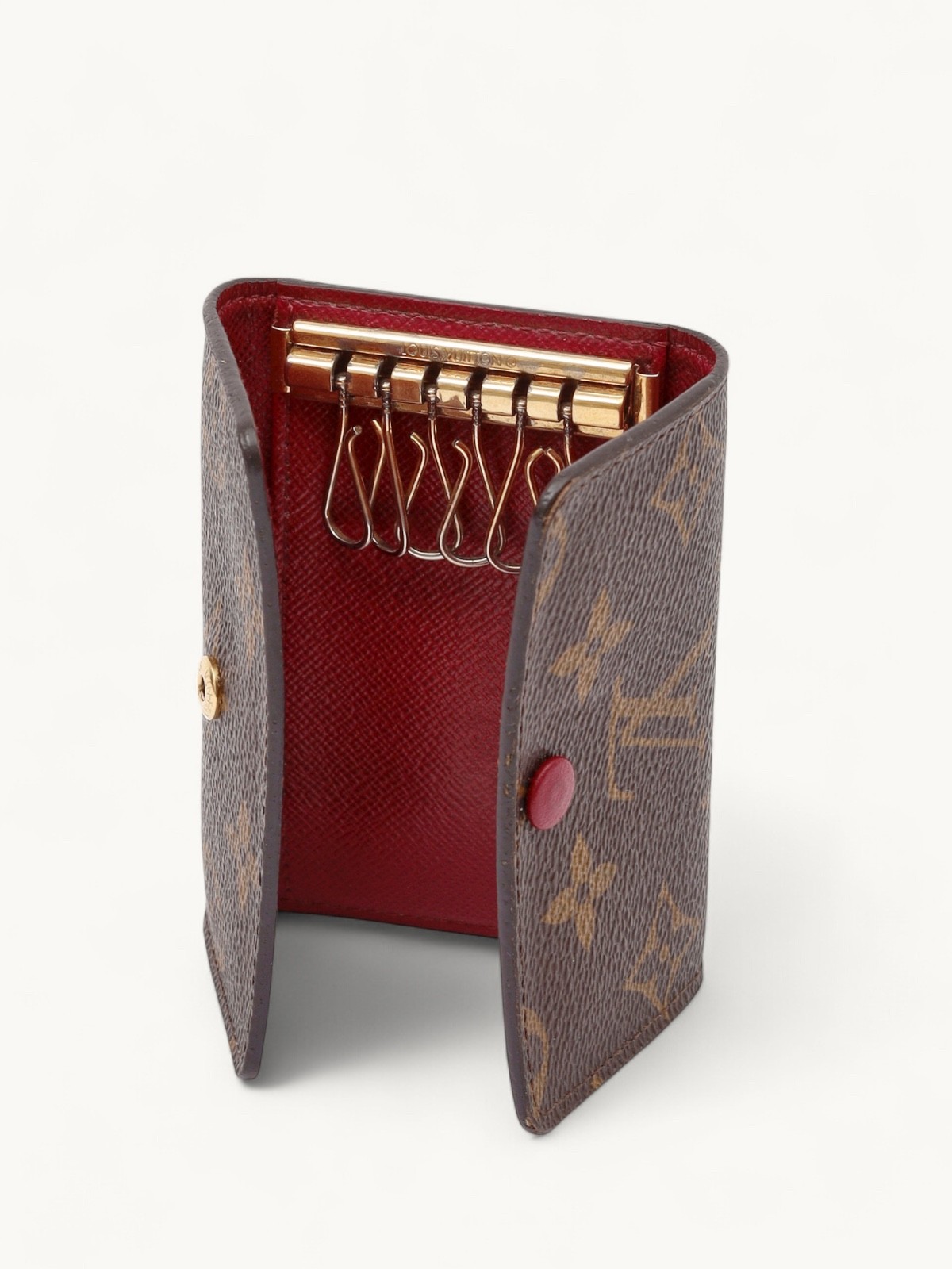 Louis Vuitton Case 6