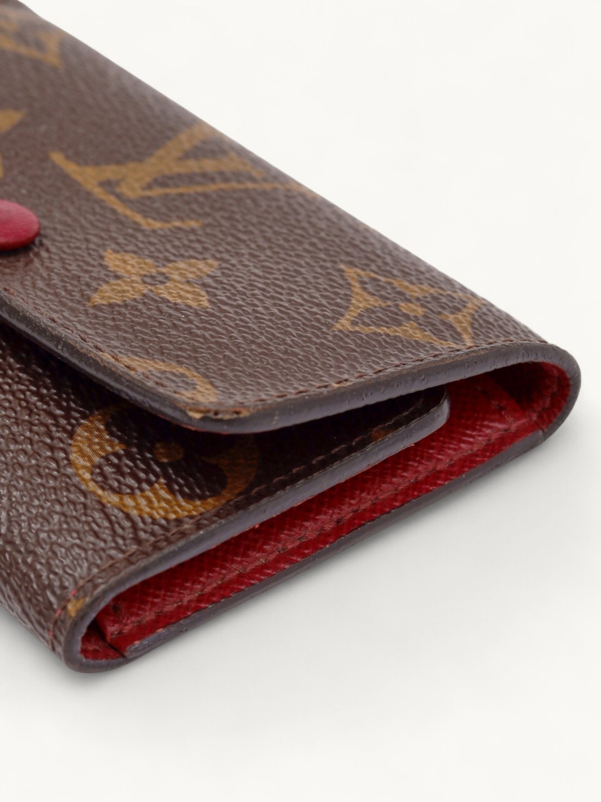 Louis Vuitton Case 5