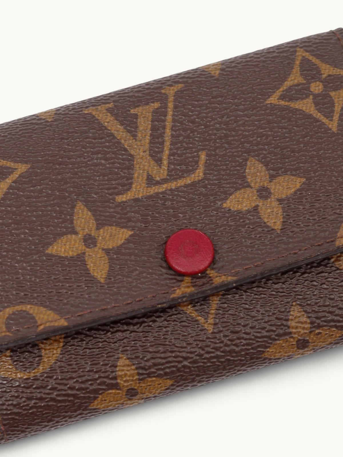 Louis Vuitton Case 3