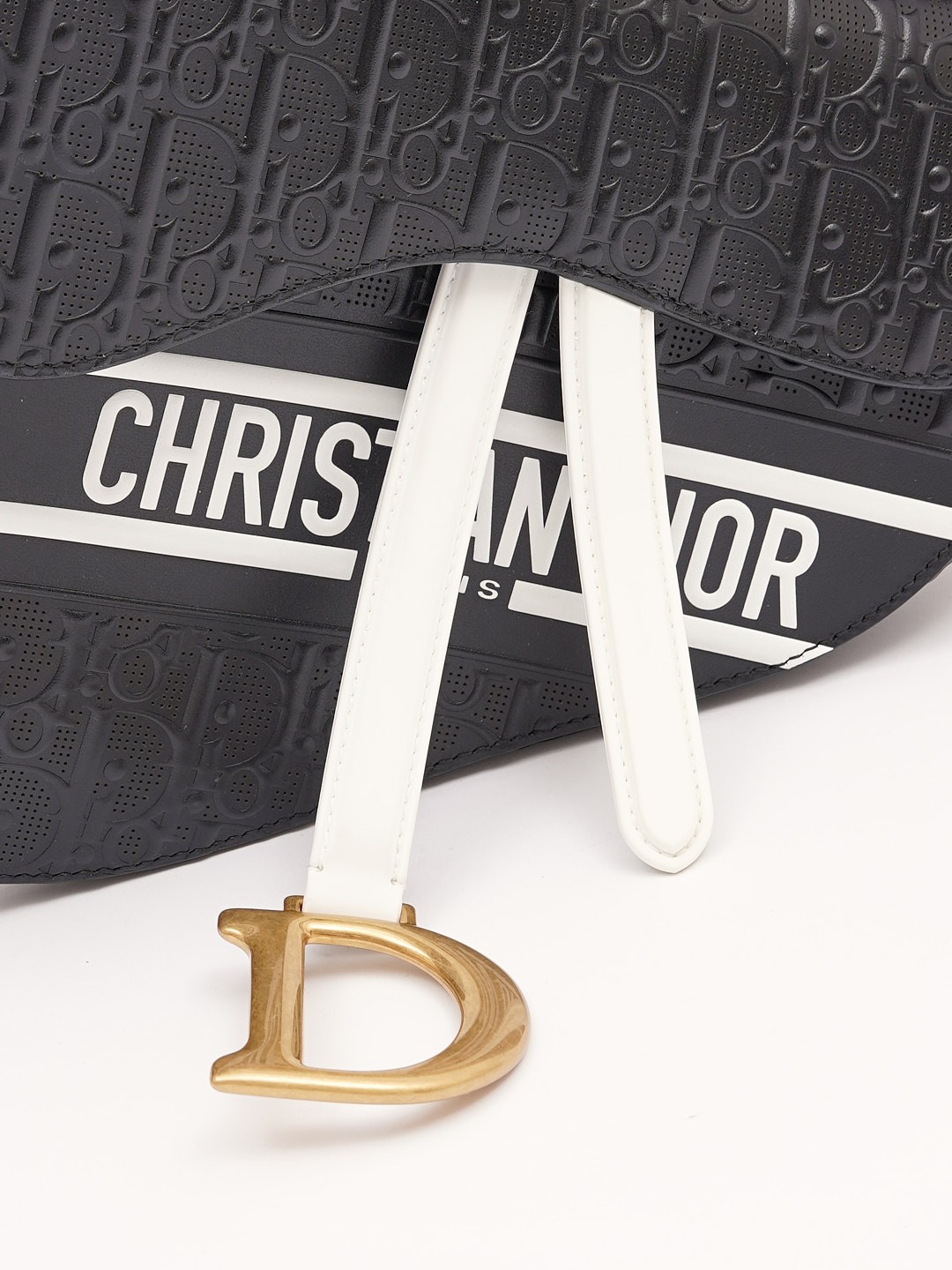 Dior Saddle 5