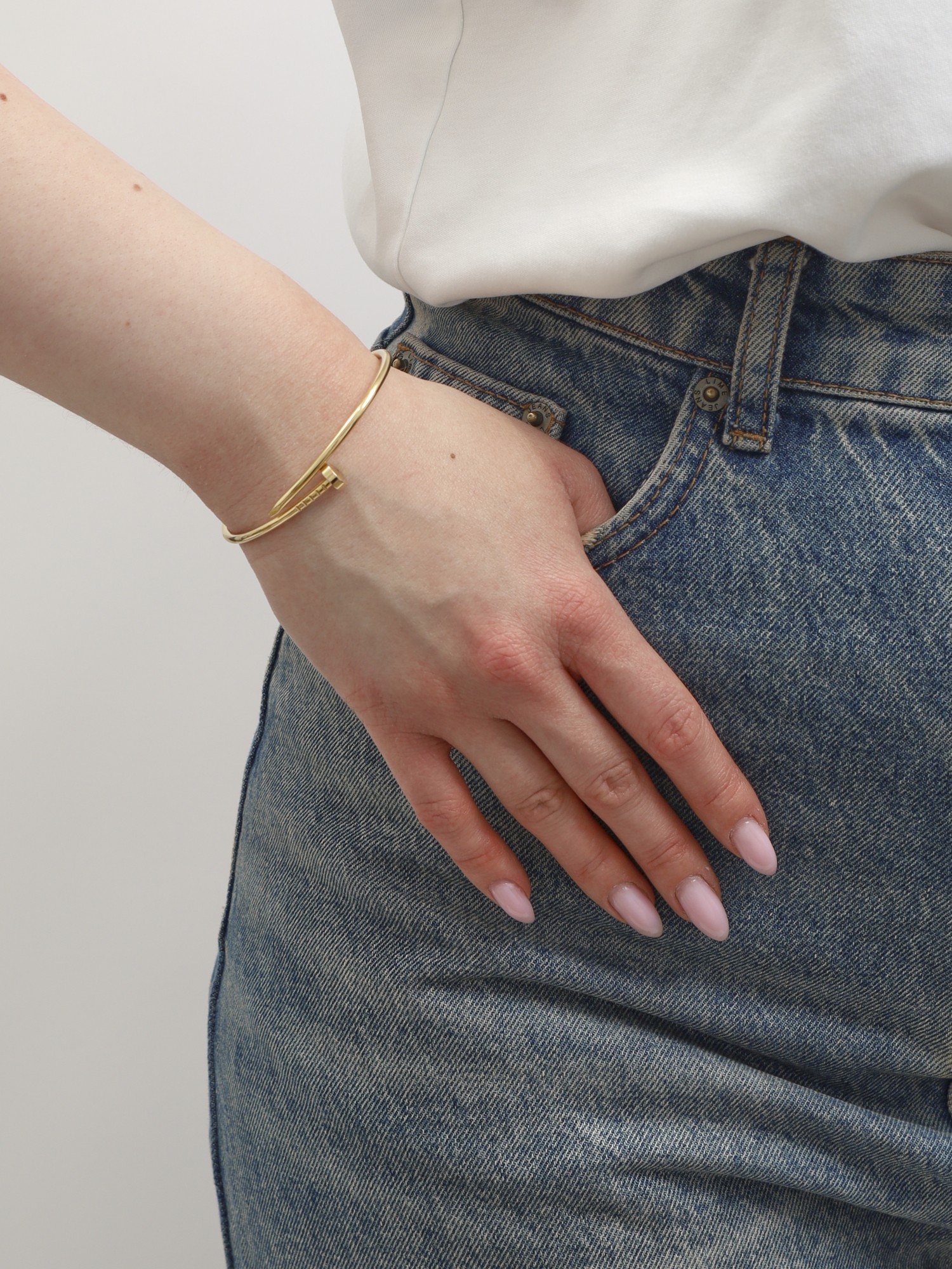 Cartier Juste Un Clou 1