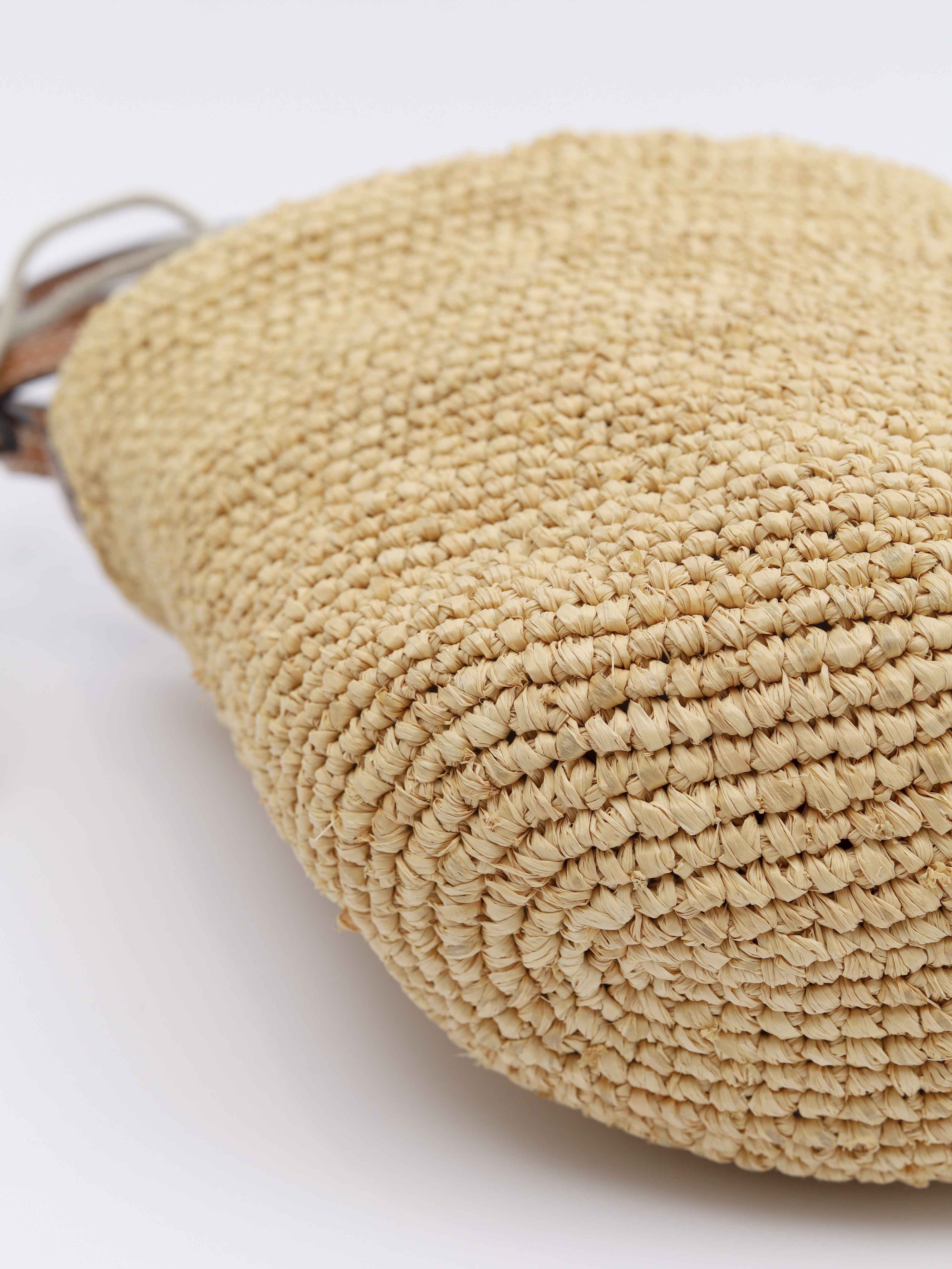 Loewe Raffia Bag 6