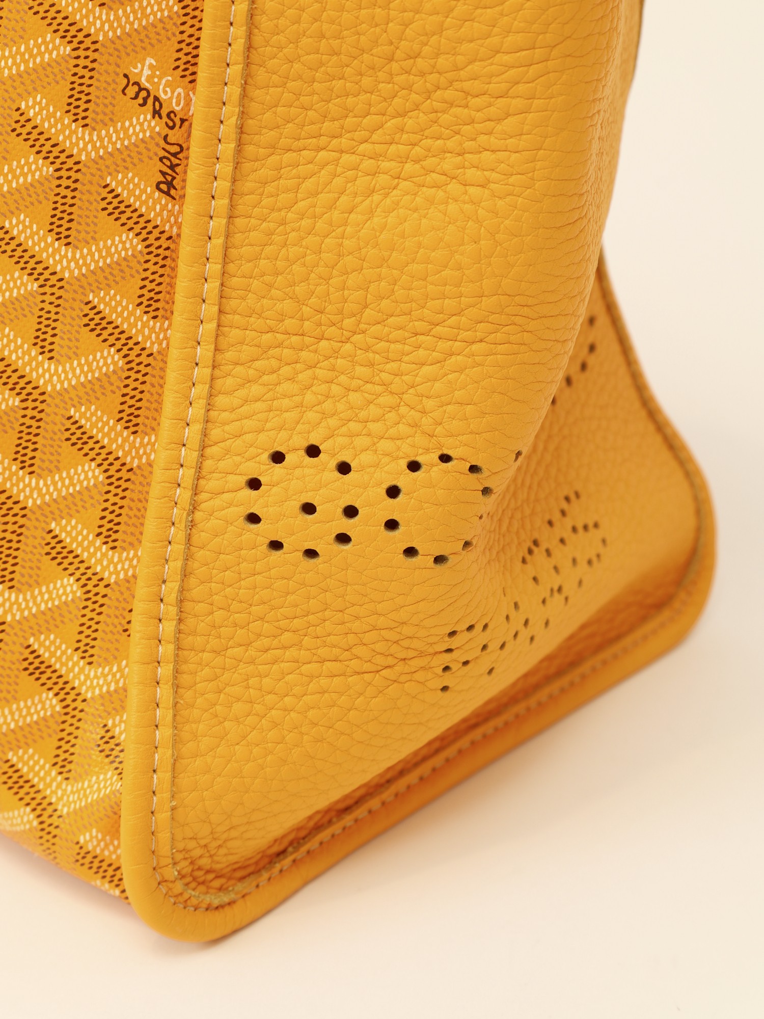 Goyard Saint-Louis  6