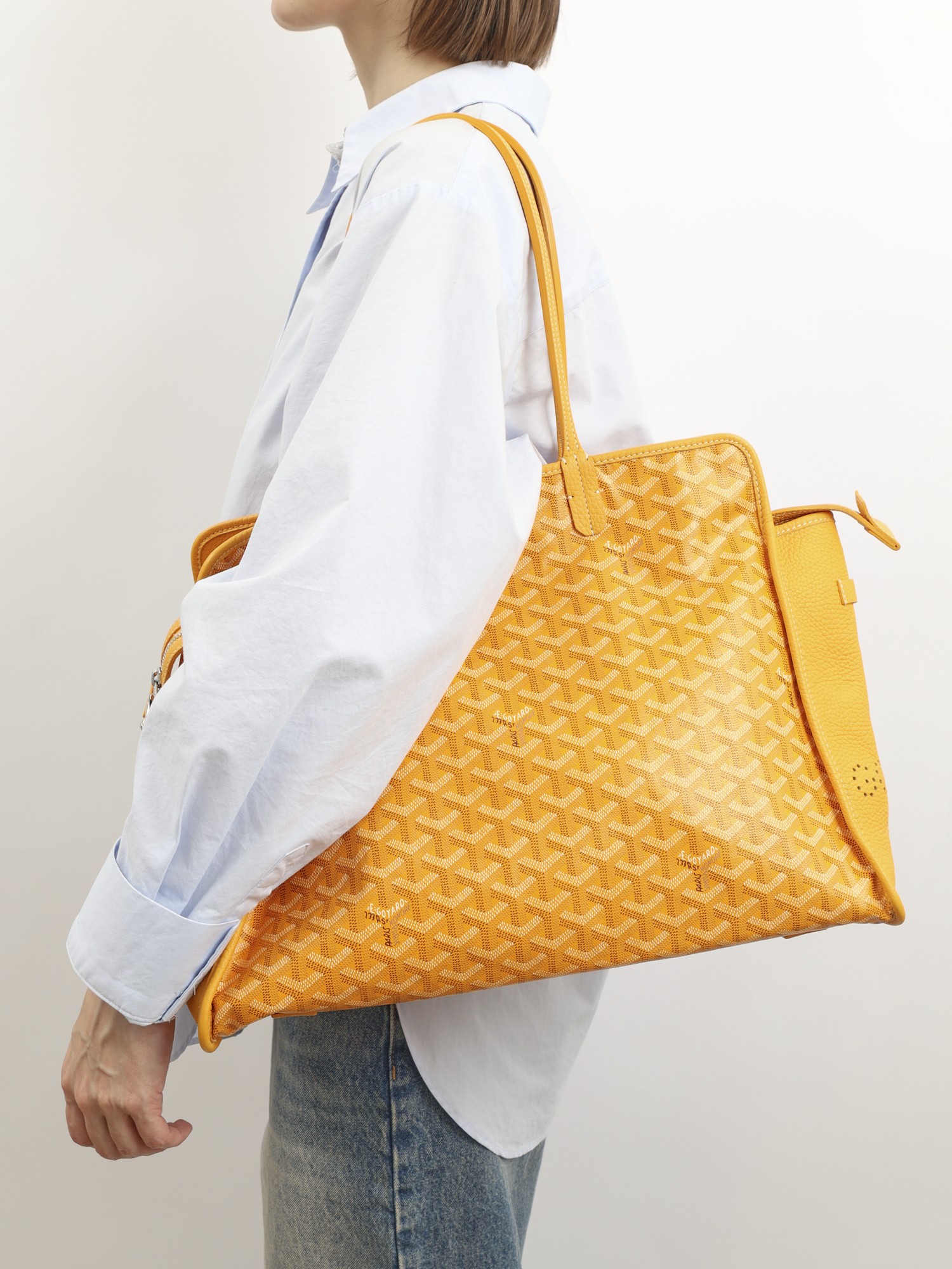 Goyard Saint-Louis  1
