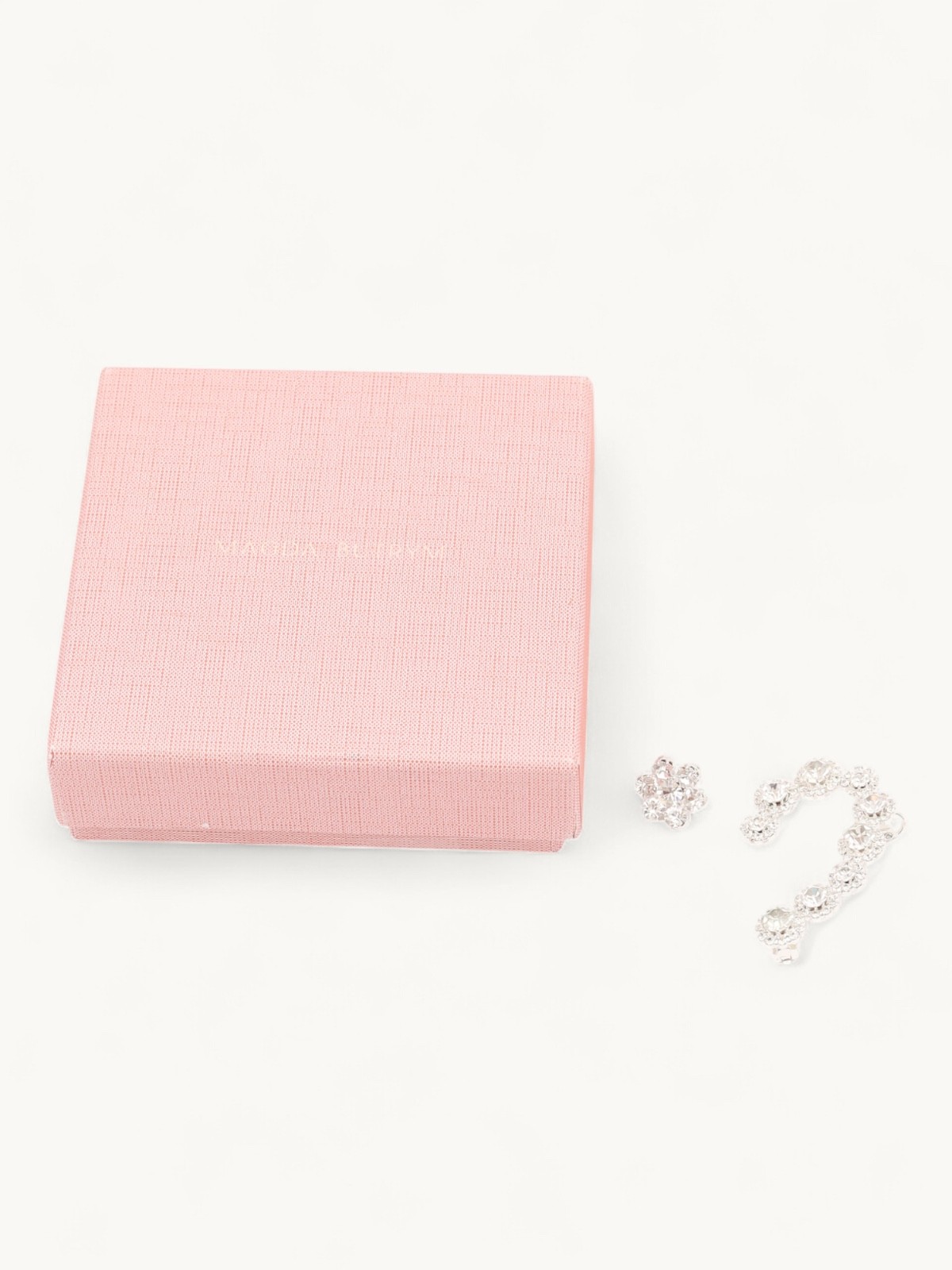 Magda Butrym Earrings 2