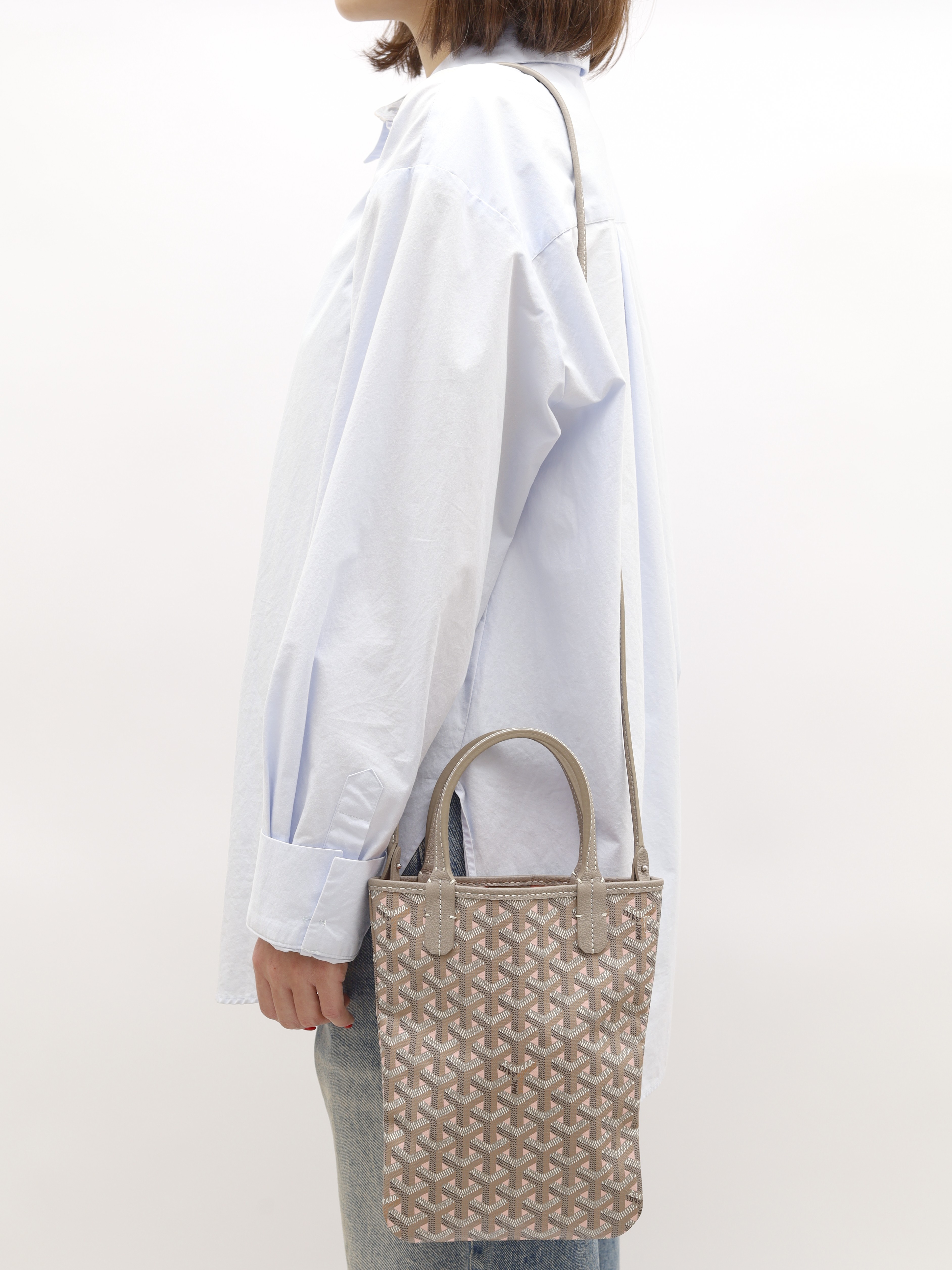 Goyard Poitiers Claire-Voie 1