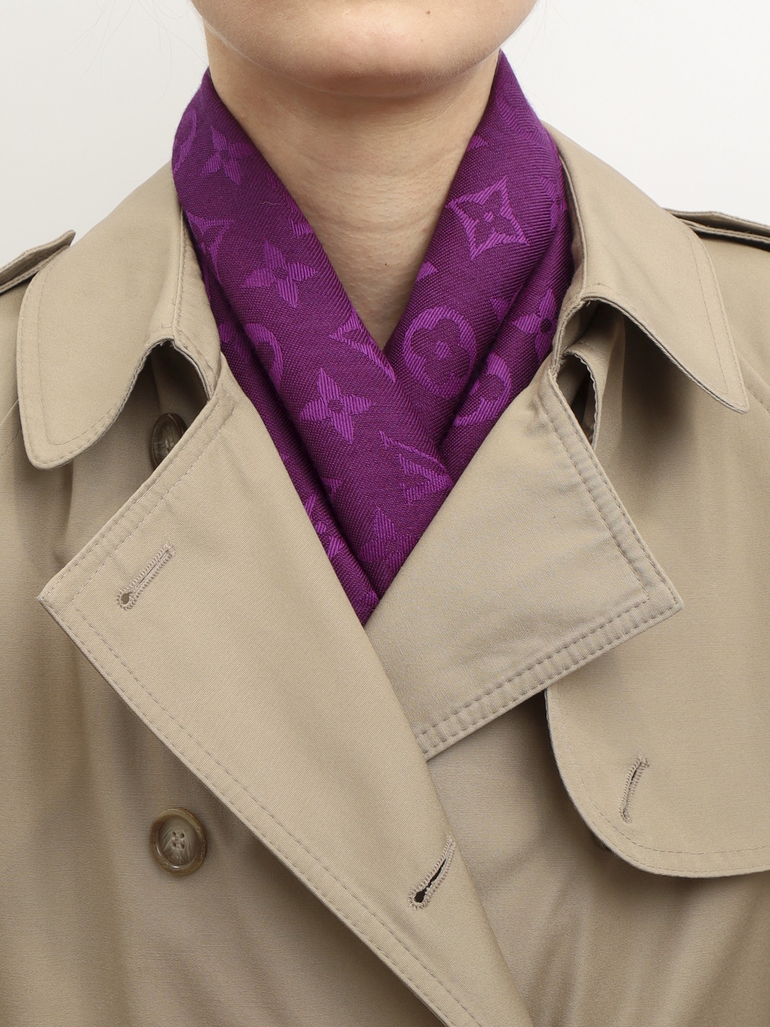 Louis Vuitton Scarf 1