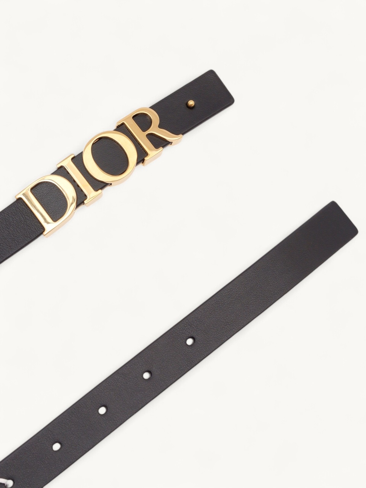Dior Belt 4