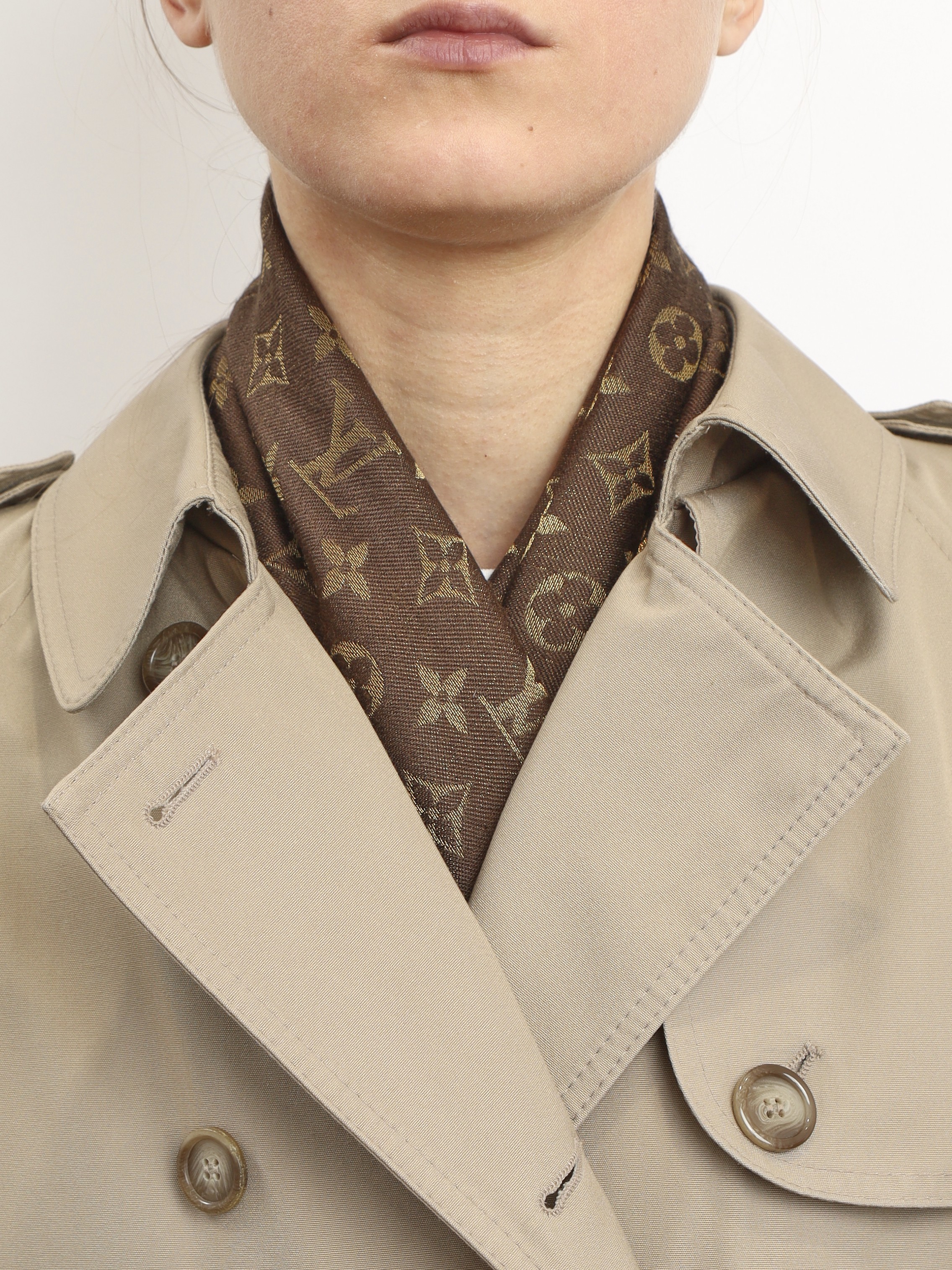 Louis Vuitton Scarf 1