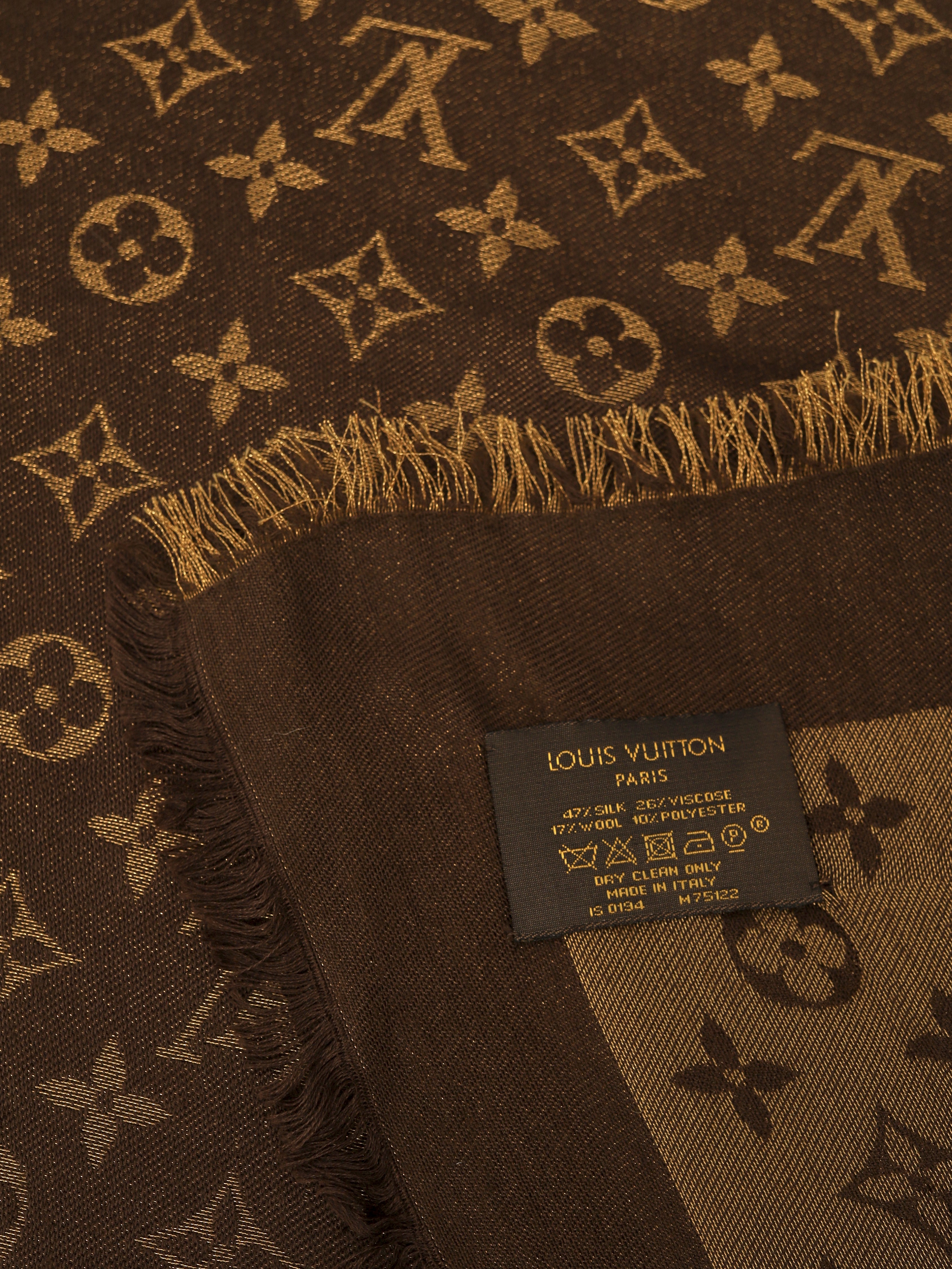 Louis Vuitton Scarf 8