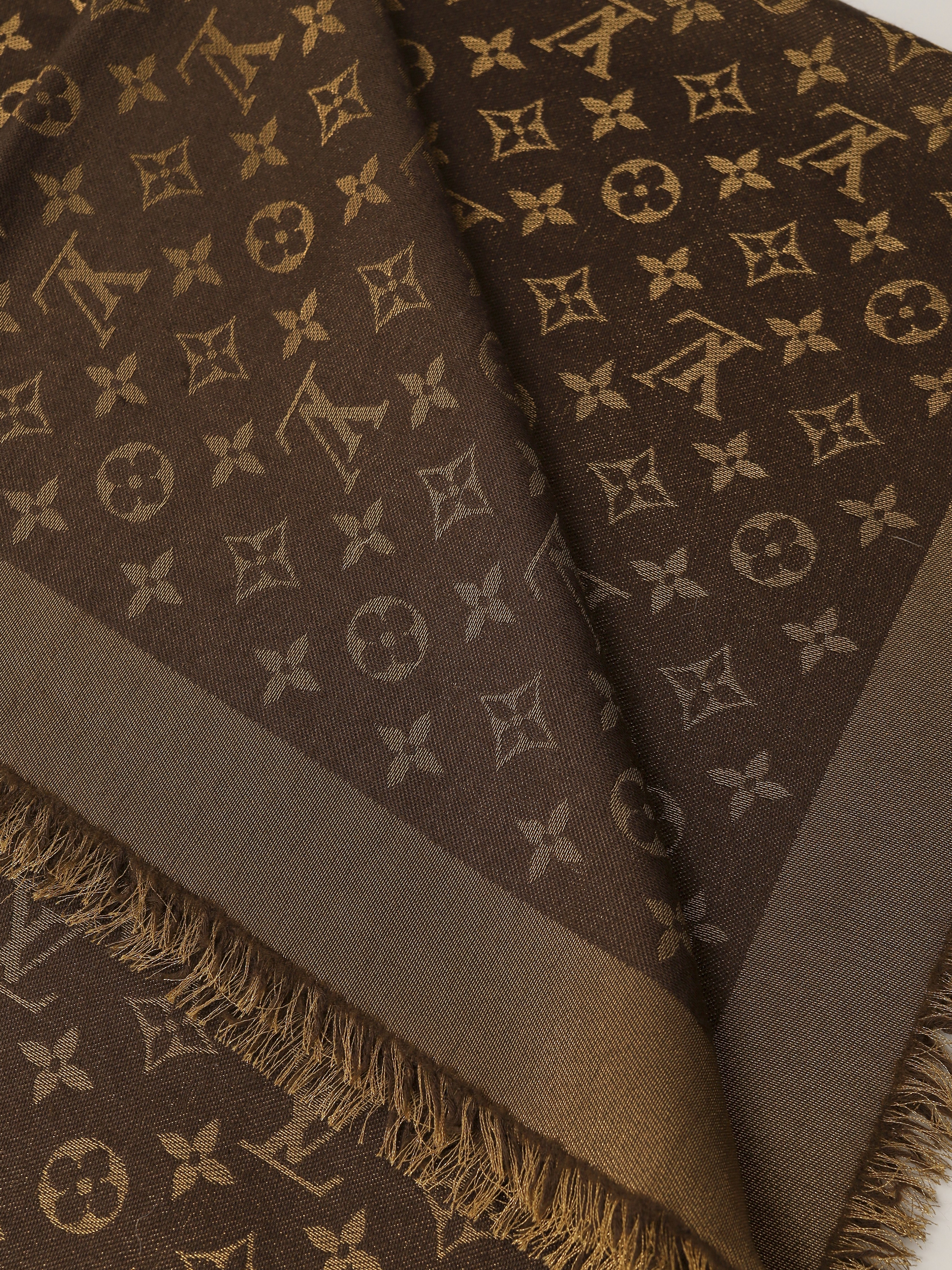 Louis Vuitton Scarf 6