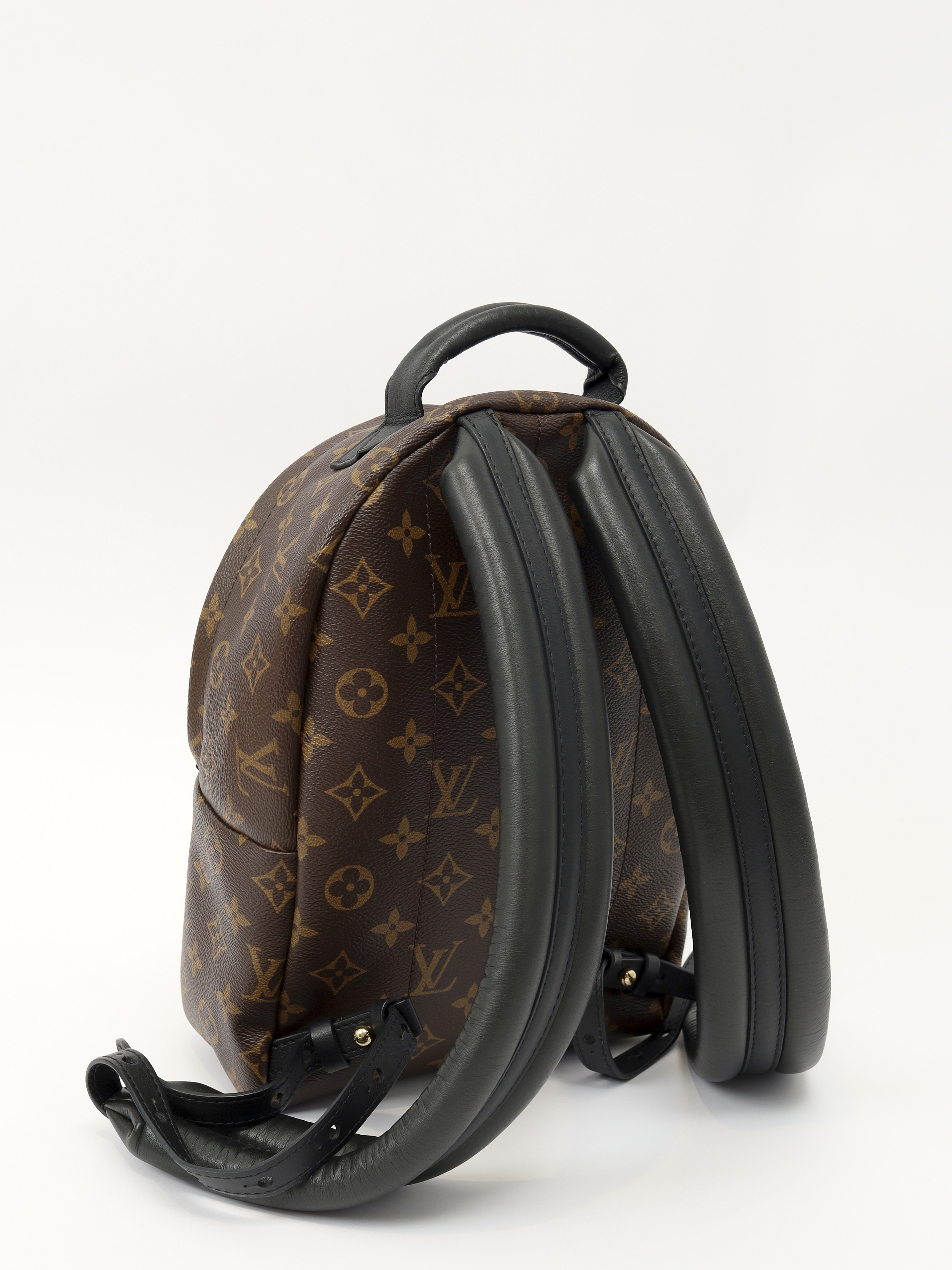 Louis Vuitton Palm Springs 3