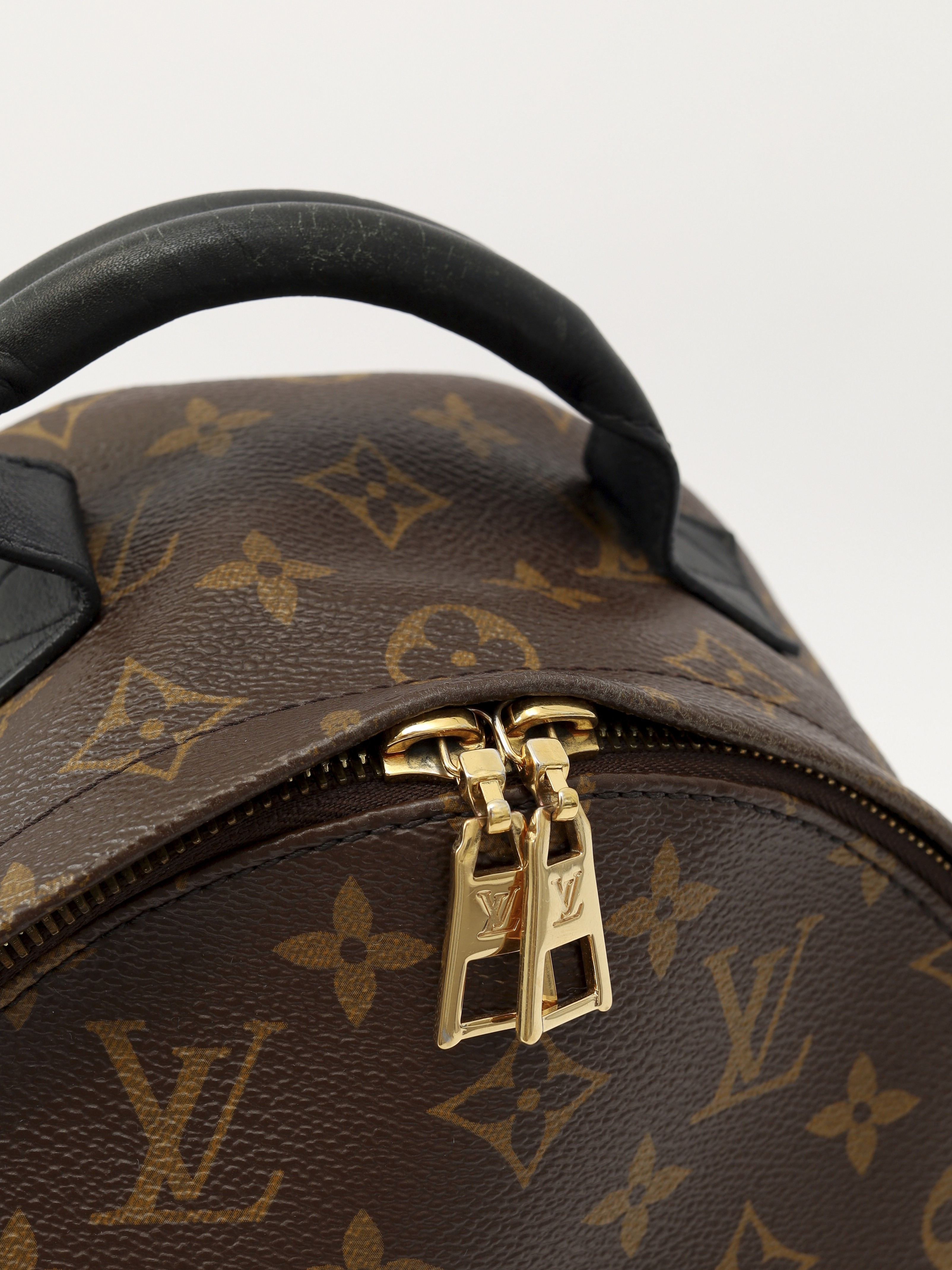 Louis Vuitton Palm Springs 5