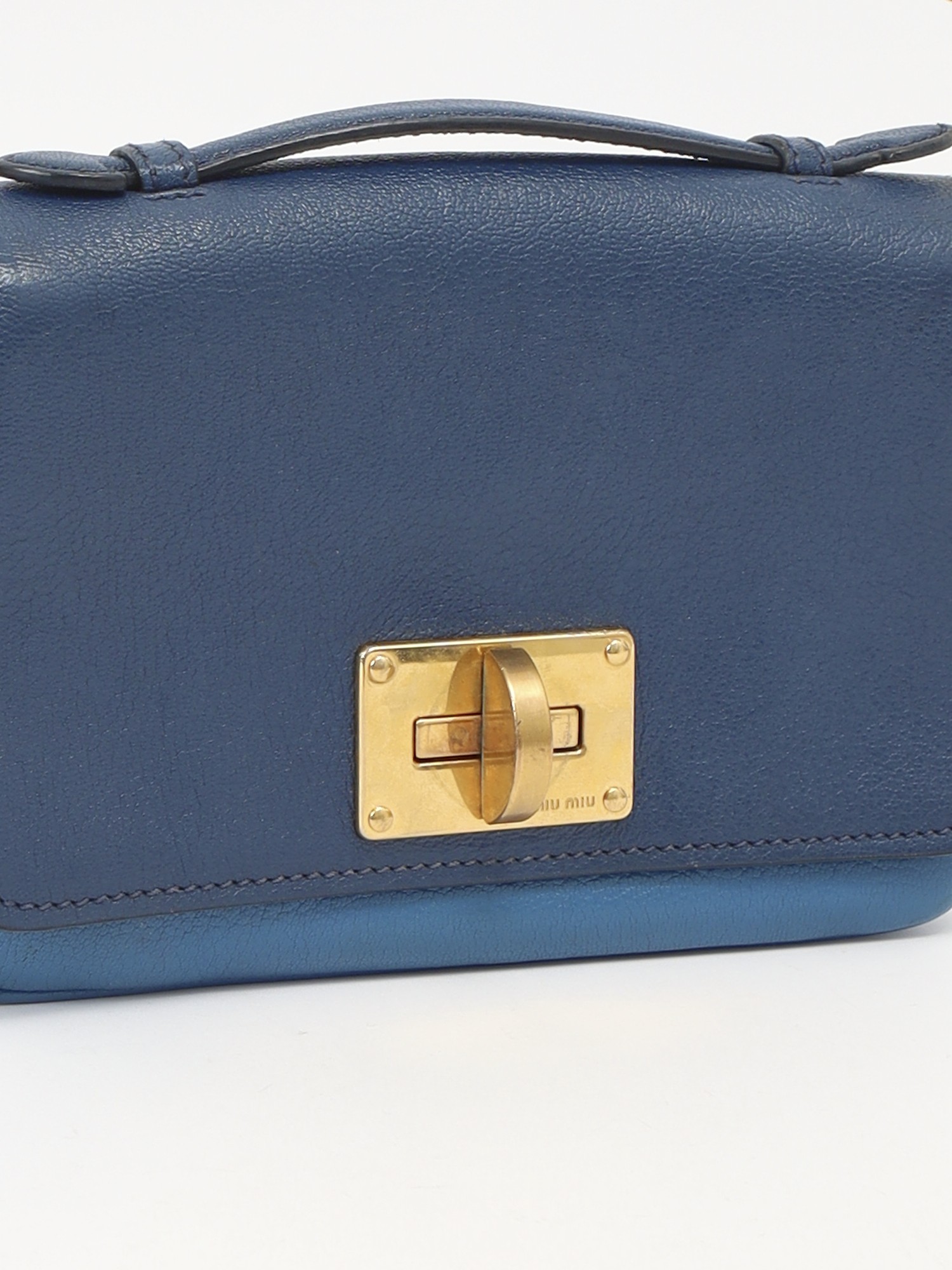 Miu Miu Leather Bag 5