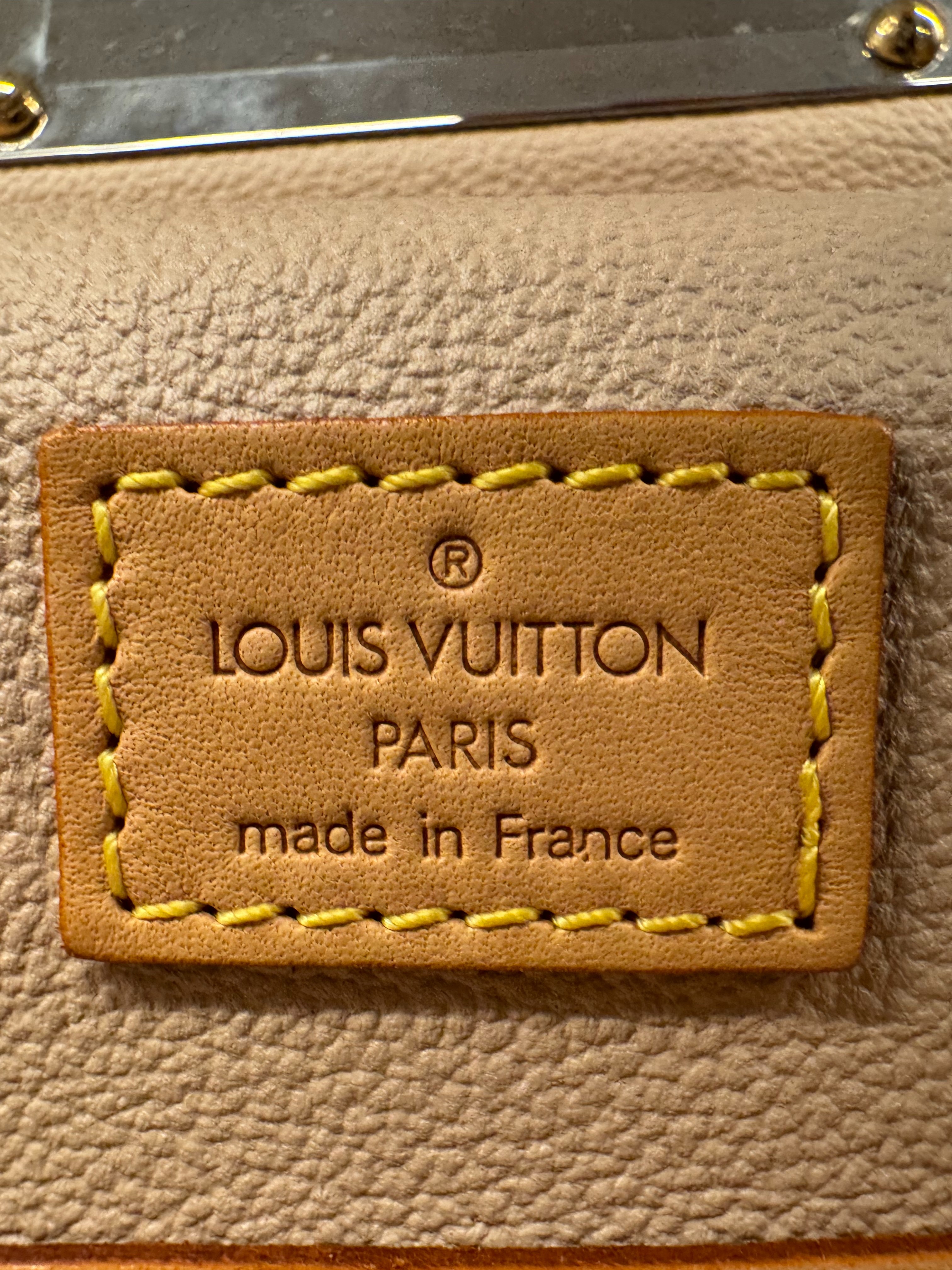Louis Vuitton Case 8